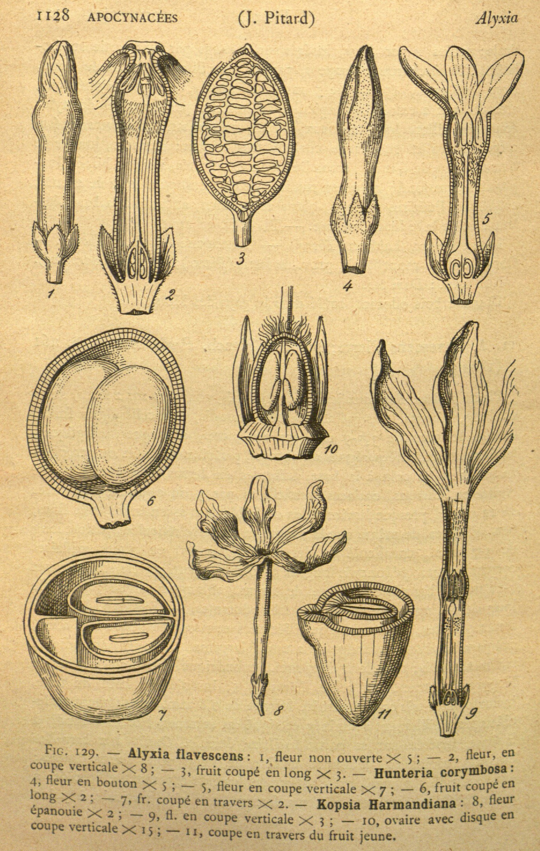 no full size  illustration available (3a)