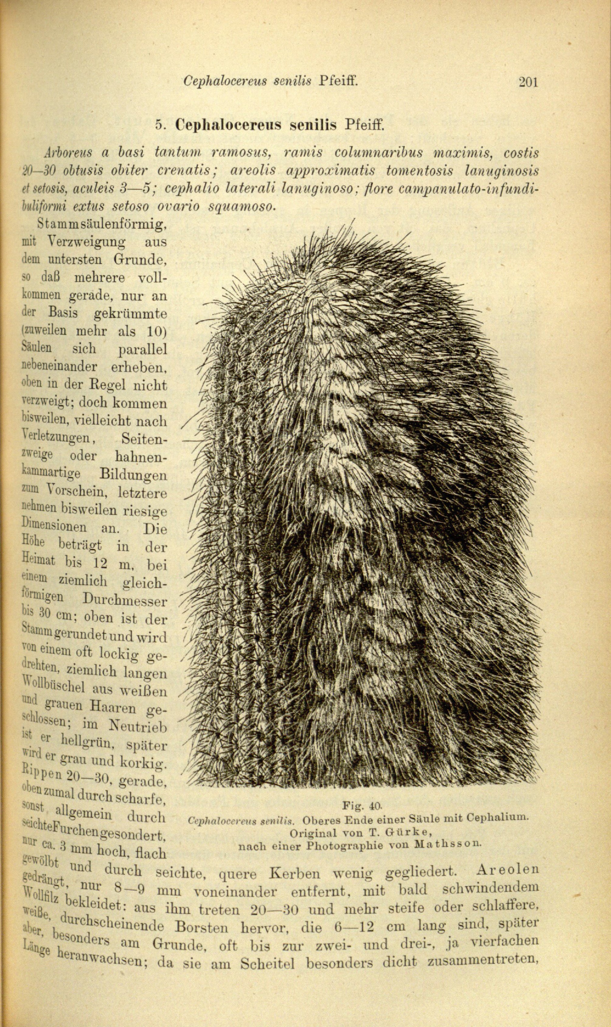 no full size  illustration available (3a)