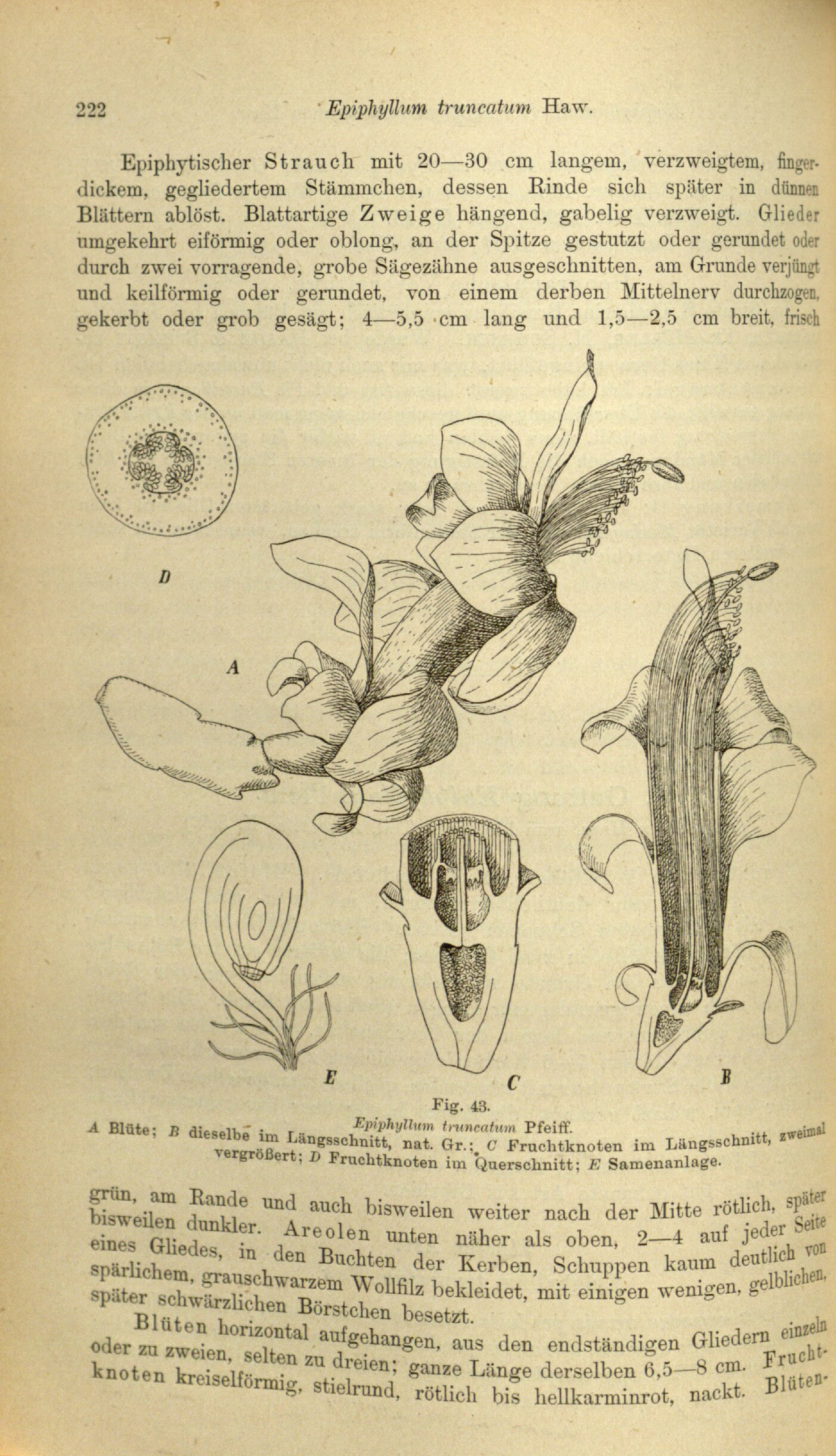 no full size  illustration available (3a)