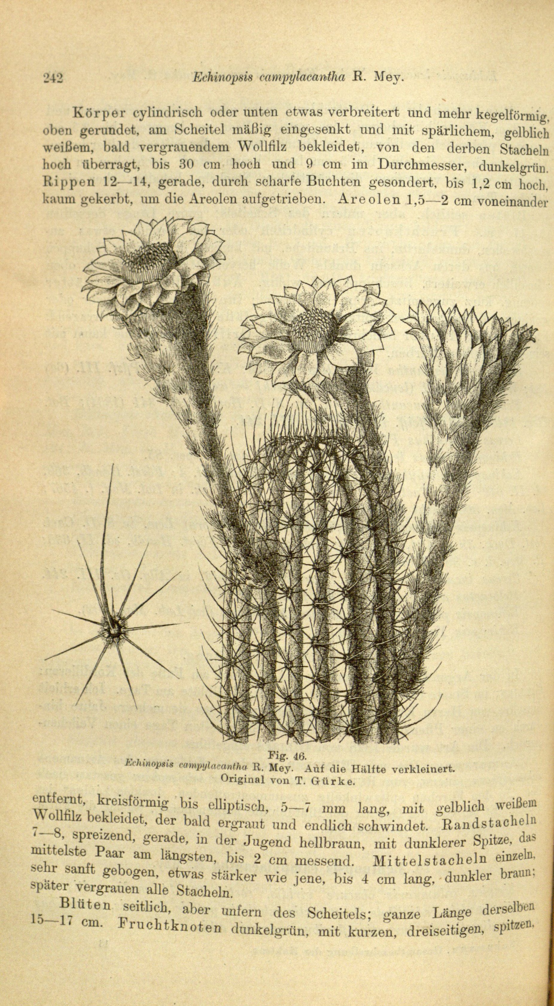 no full size  illustration available (3a)