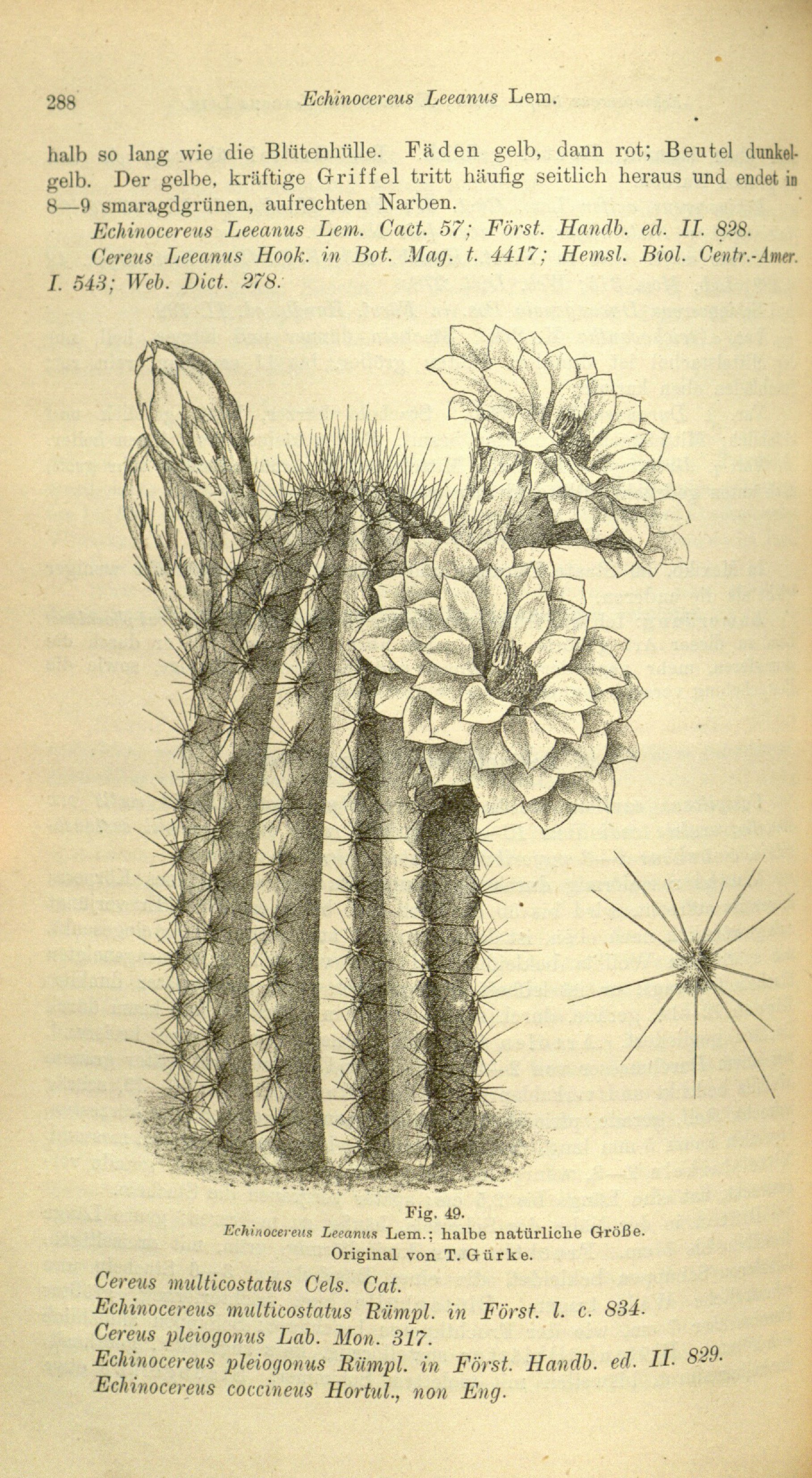 no full size  illustration available (3a)