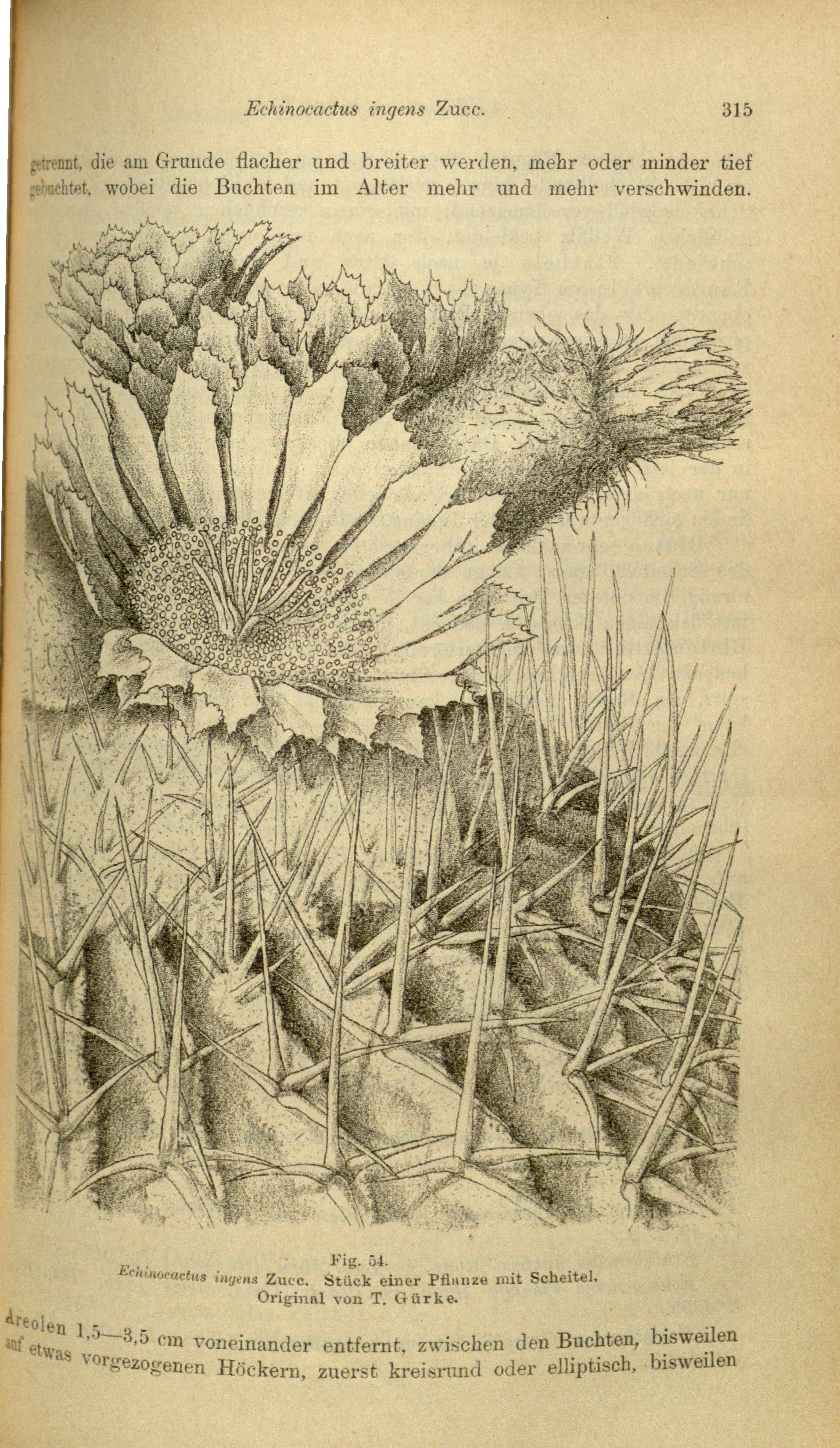 no full size  illustration available (3a)