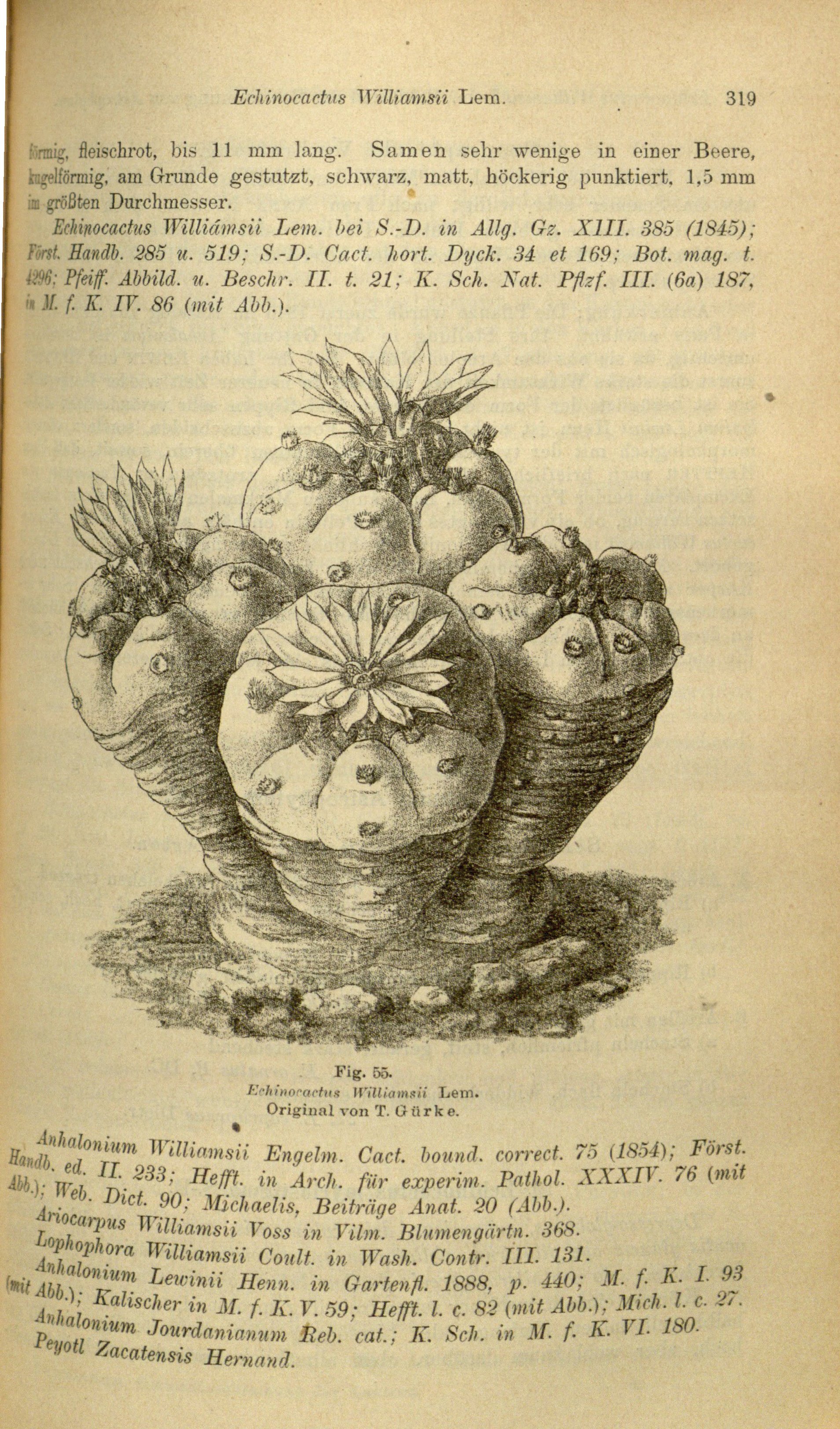 no full size  illustration available (3a)