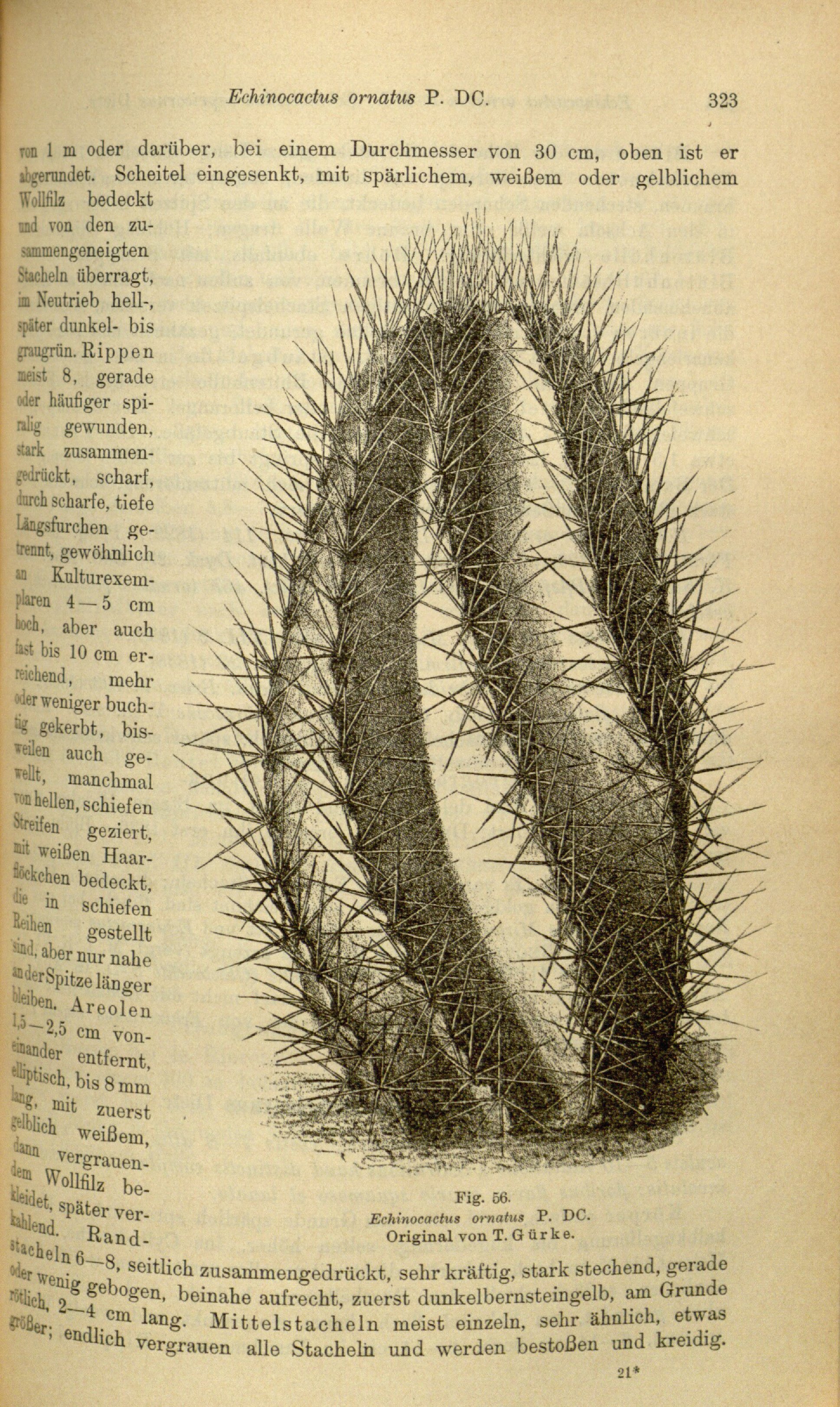 no full size  illustration available (3a)