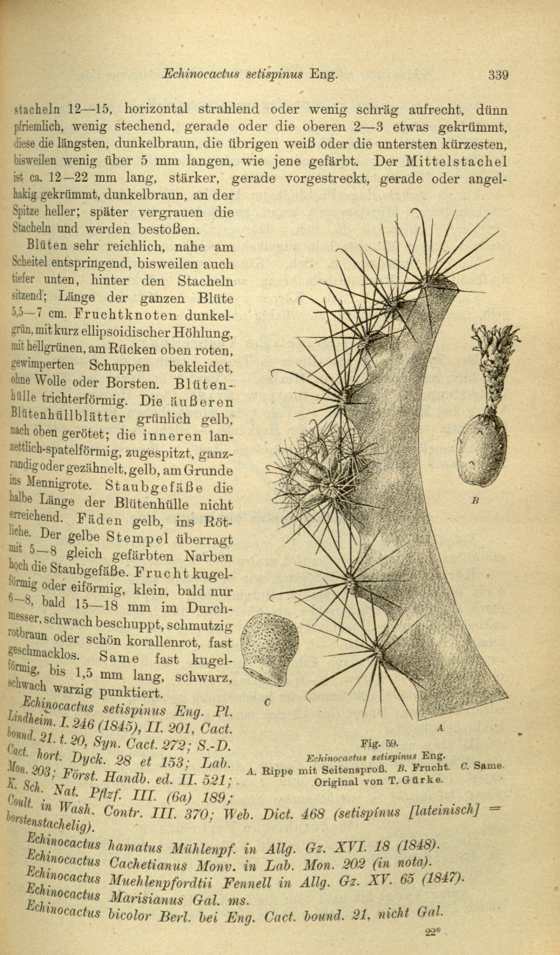 no full size  illustration available (3a)