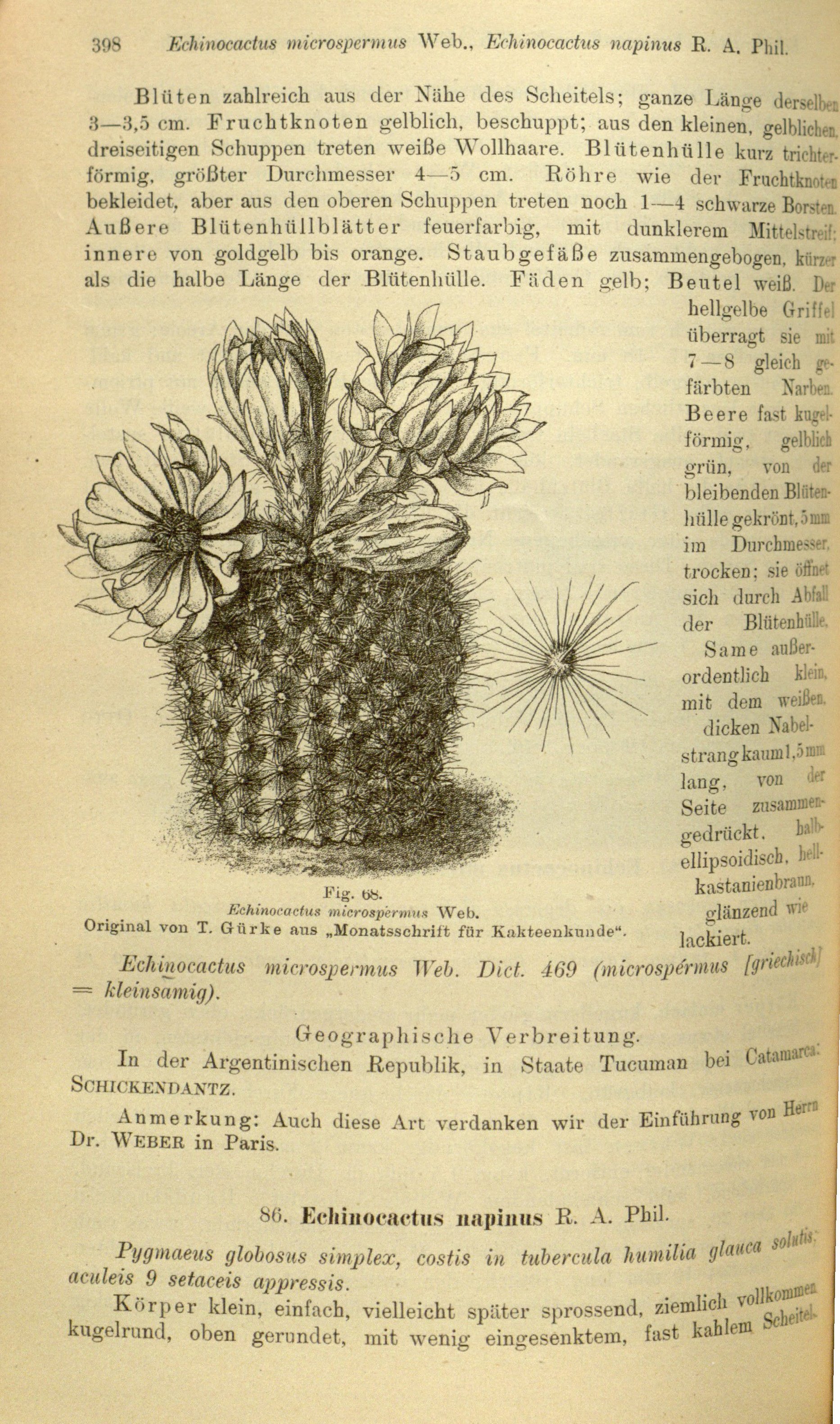 no full size  illustration available (3a)