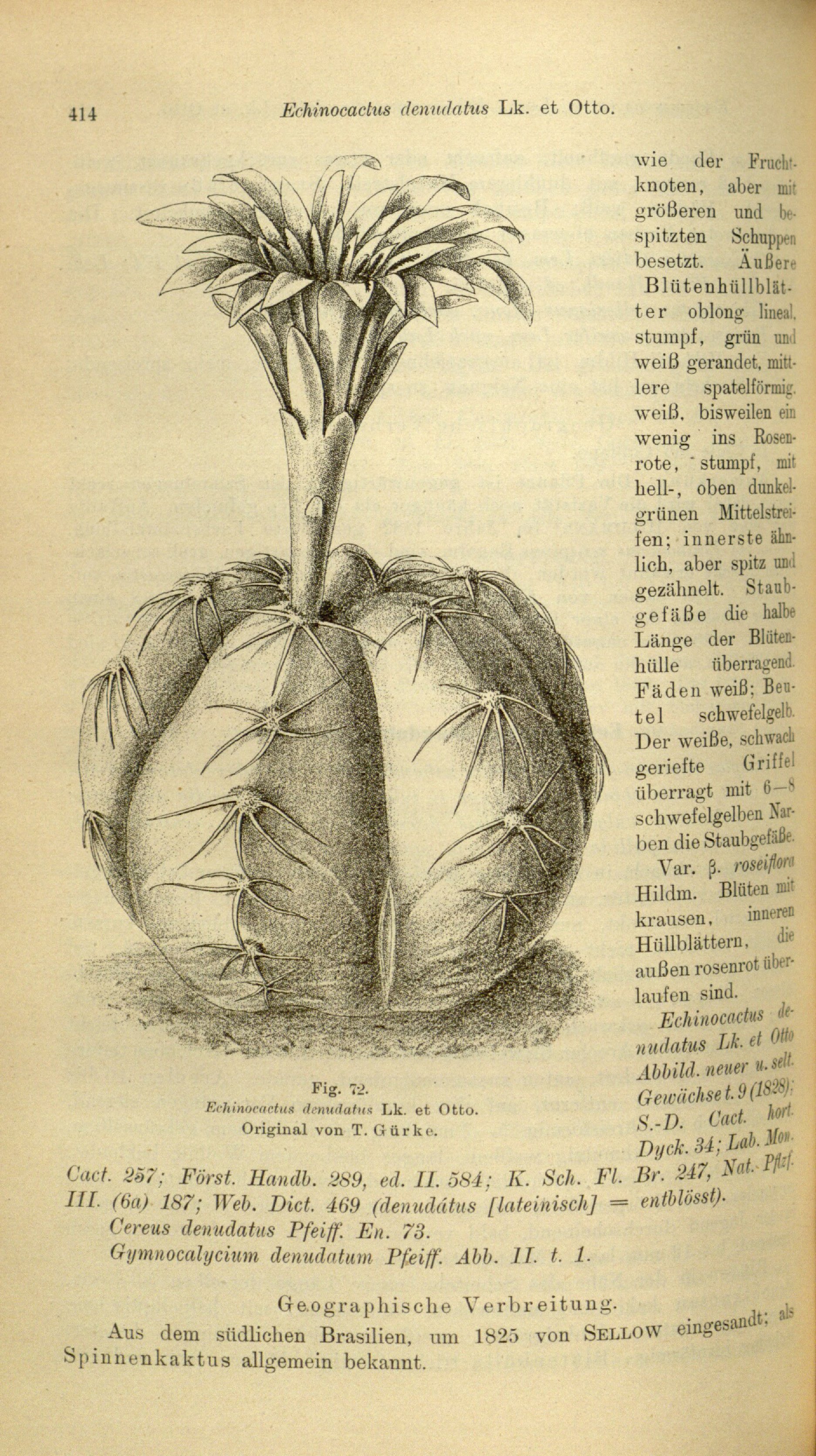 no full size  illustration available (3a)