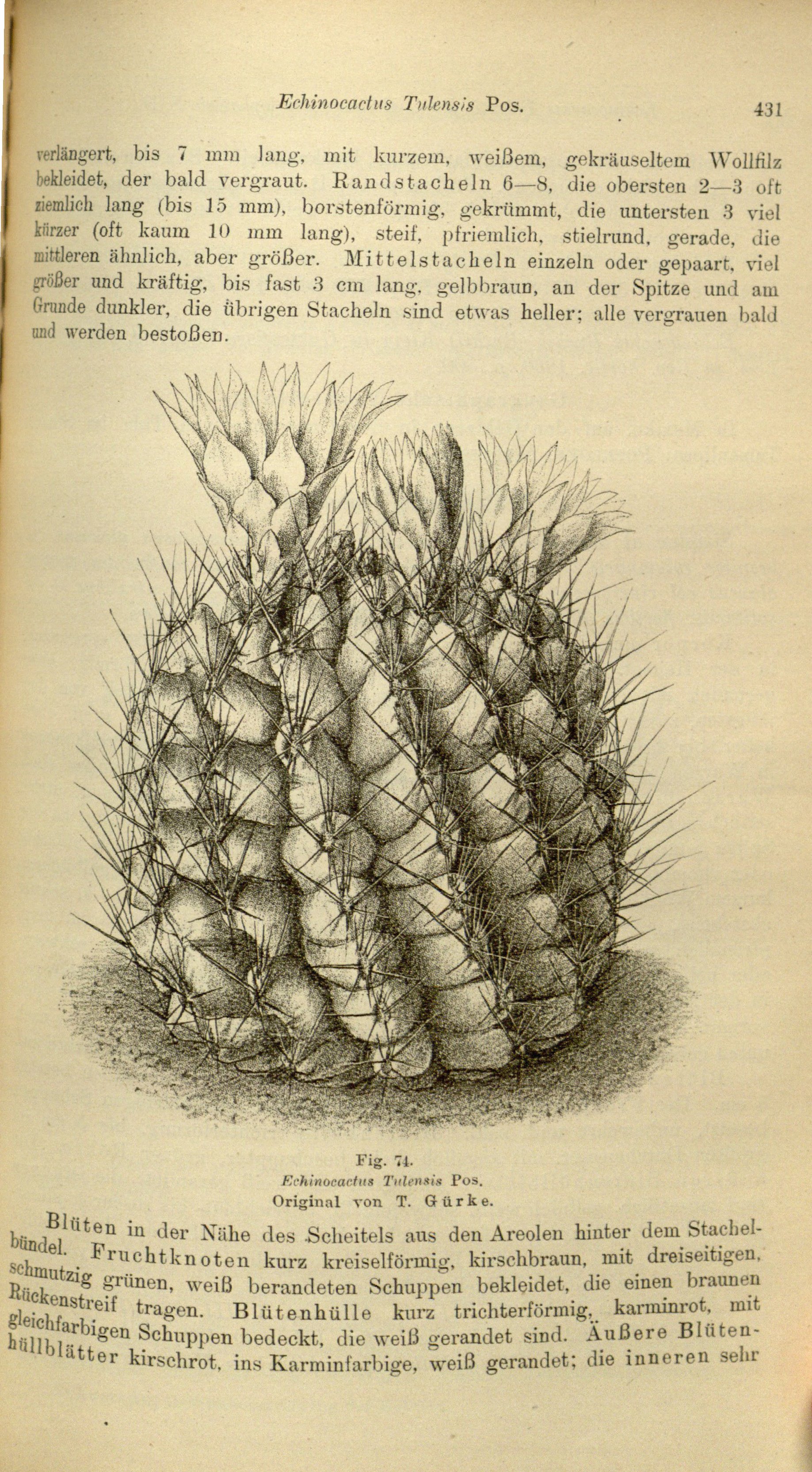 no full size  illustration available (3a)