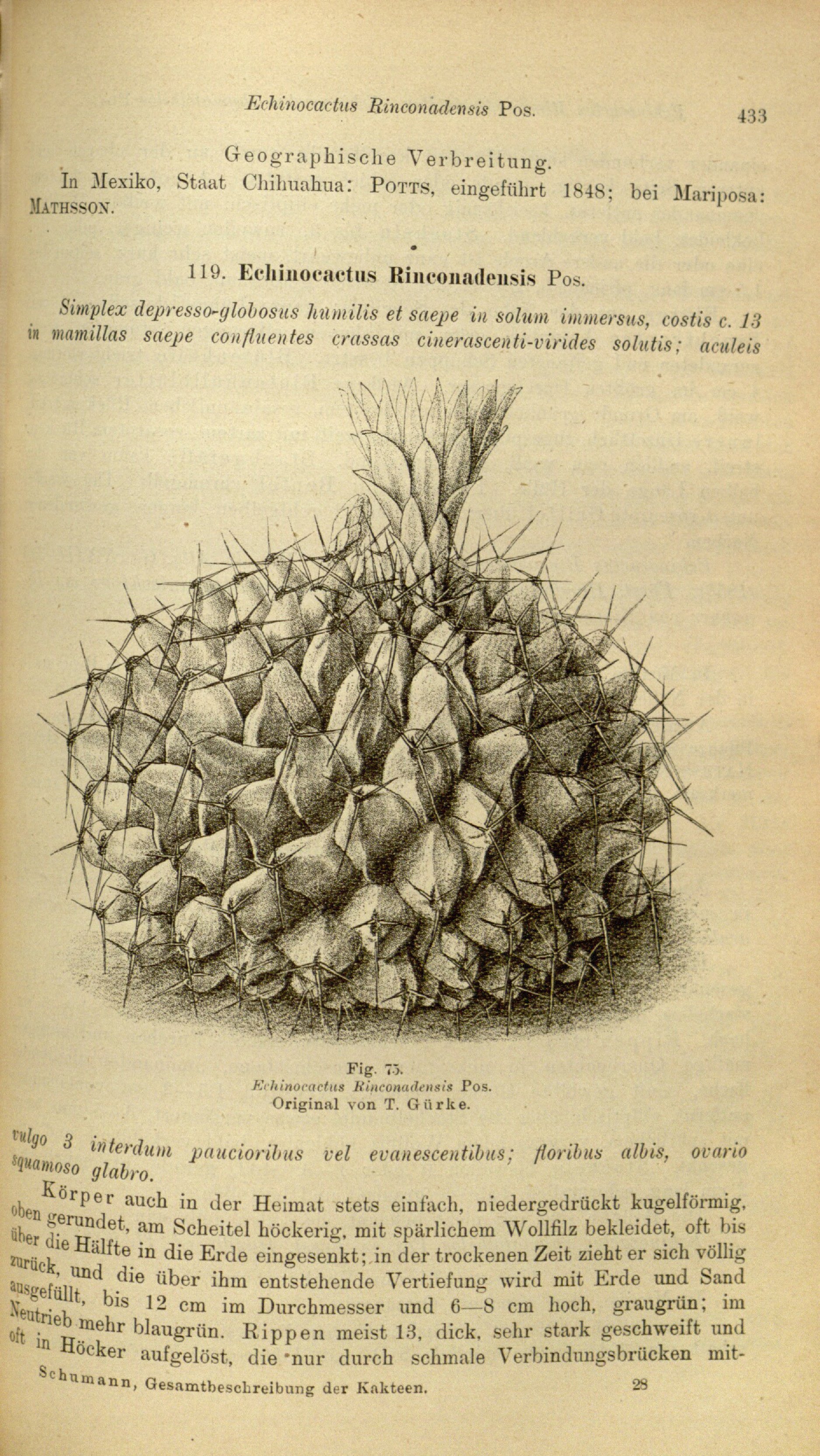 no full size  illustration available (3a)