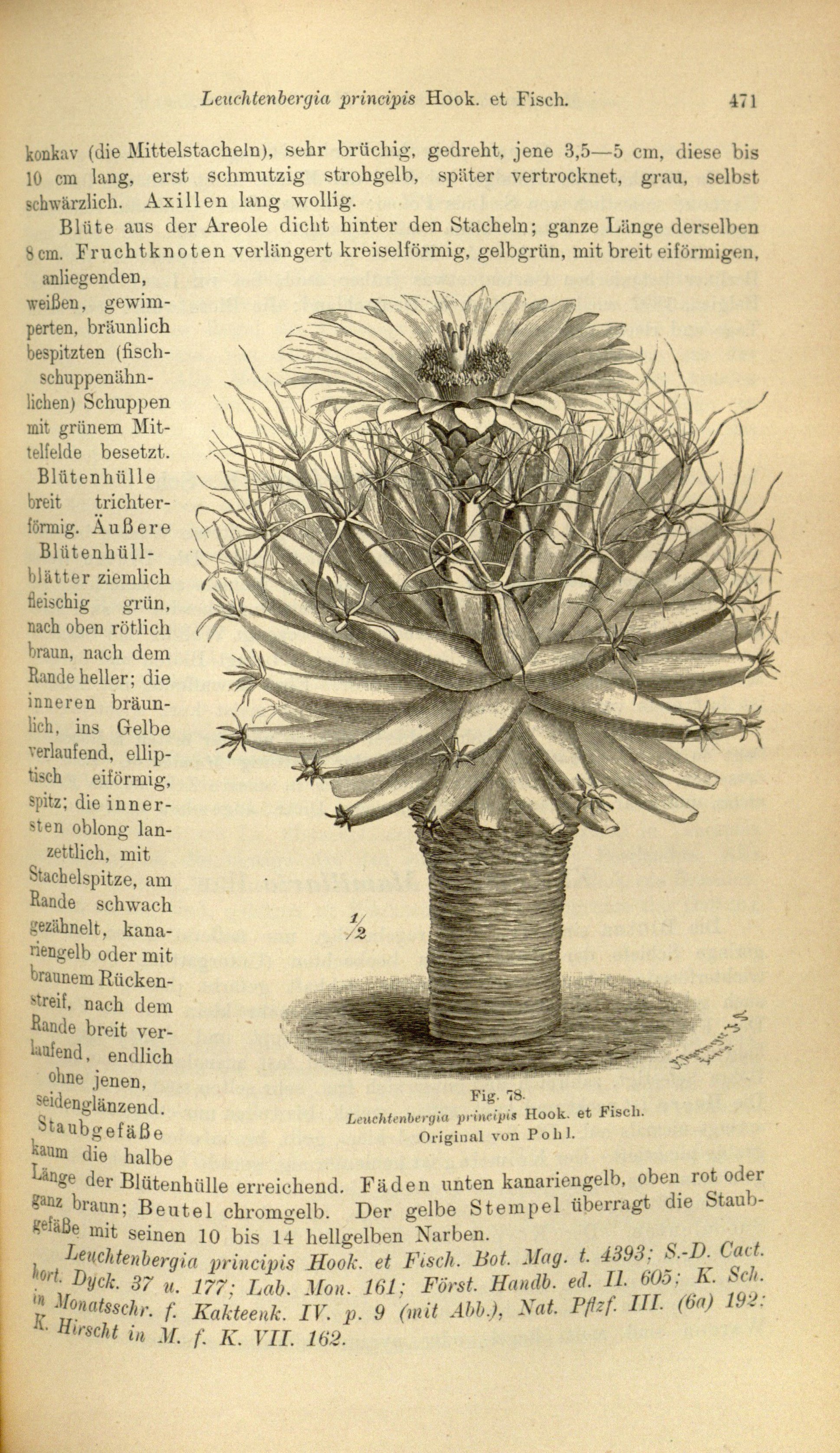 no full size  illustration available (3a)