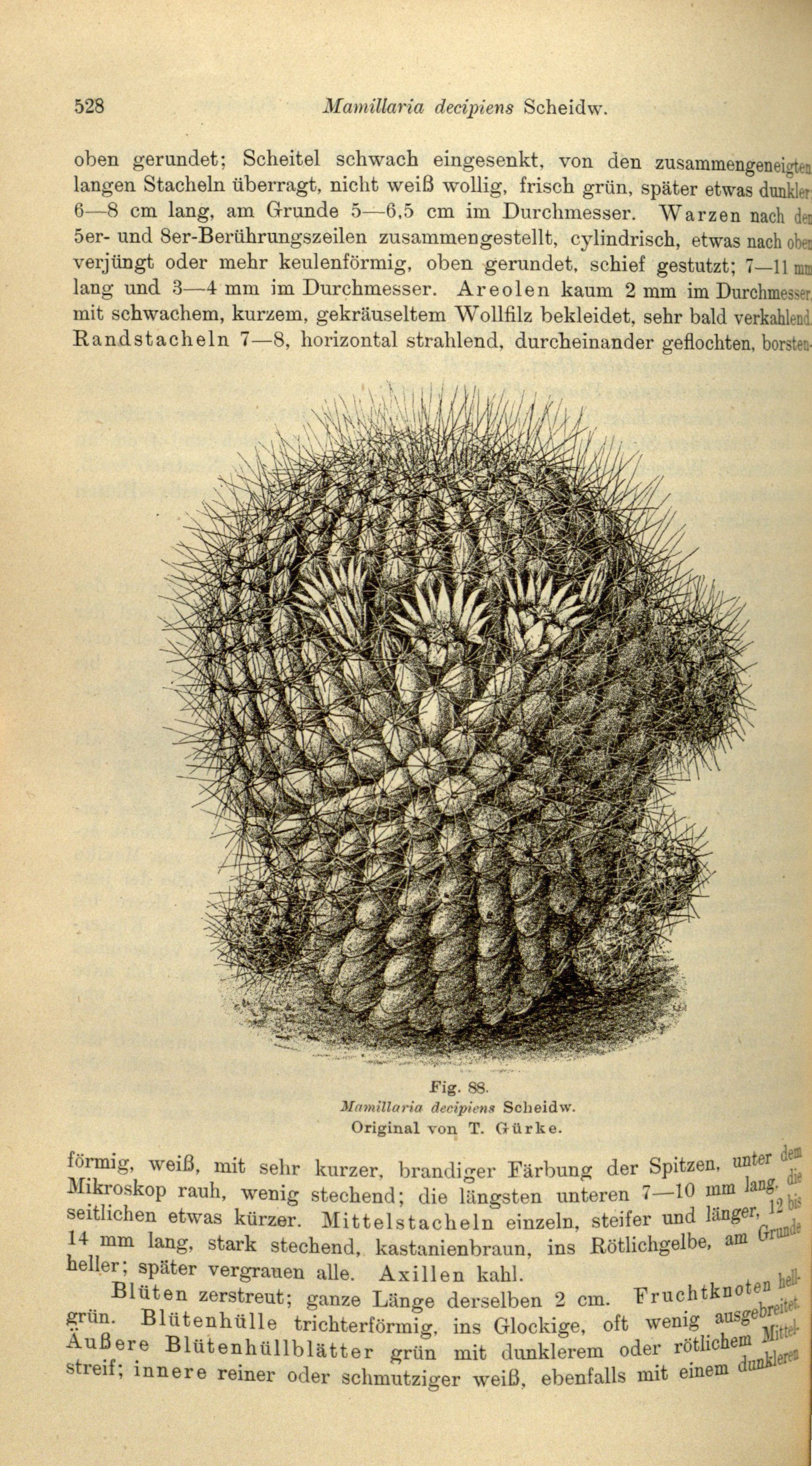 no full size  illustration available (3a)