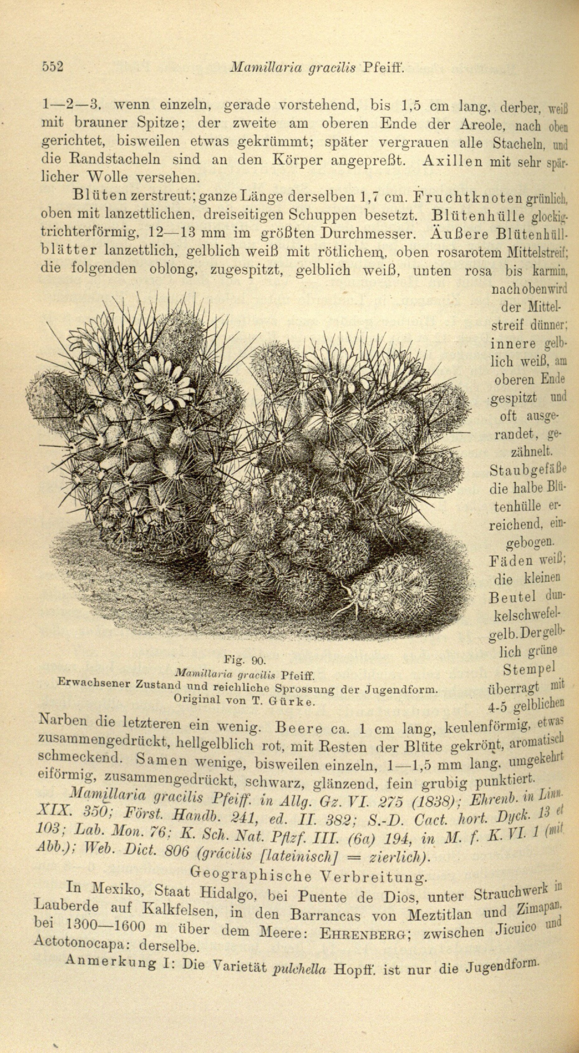 no full size  illustration available (3a)