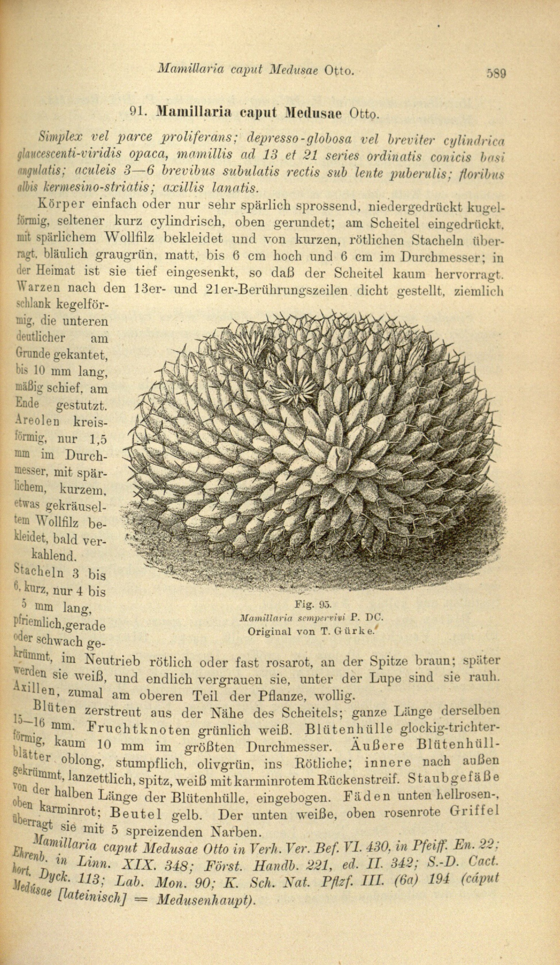 no full size  illustration available (3a)