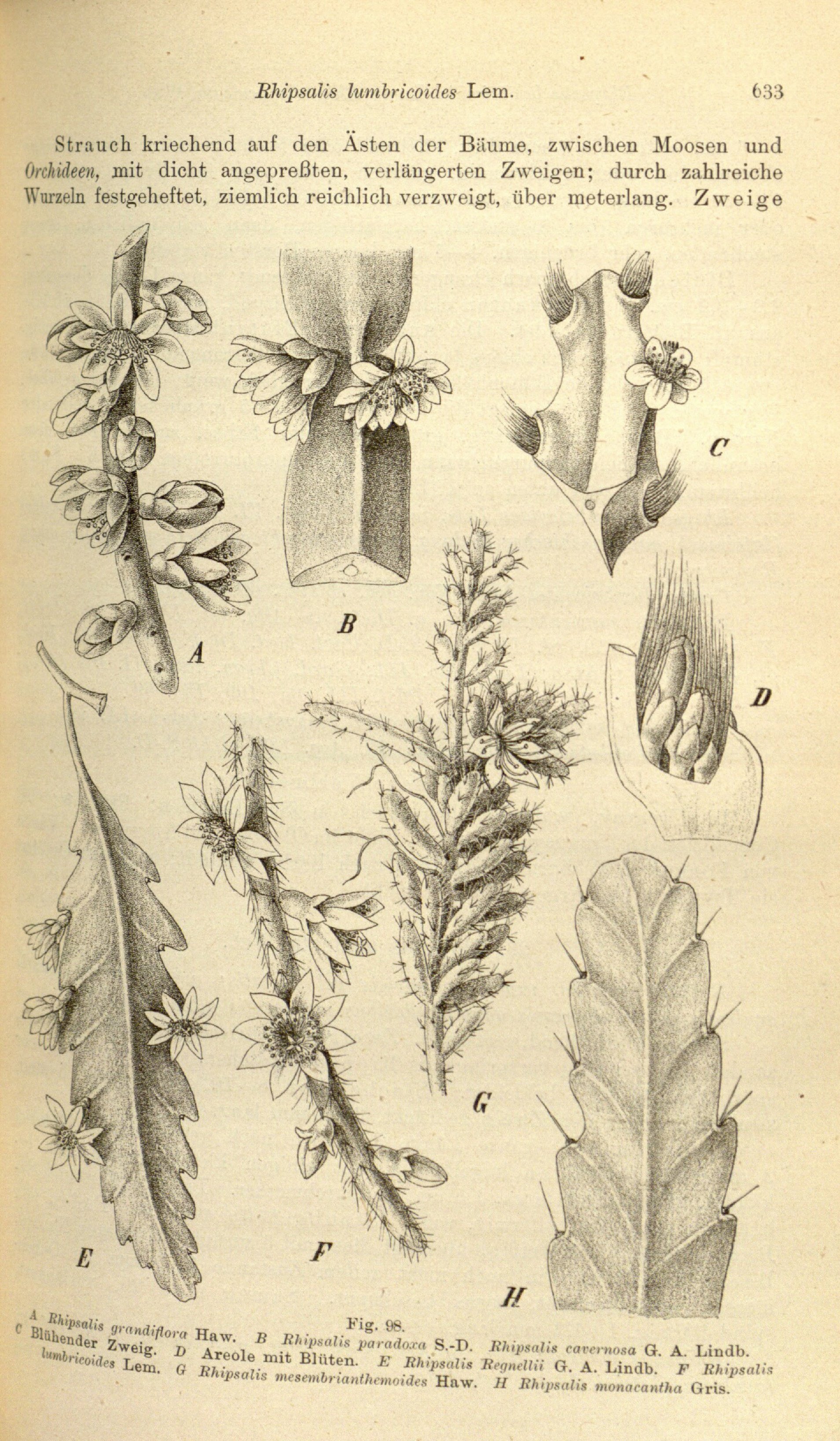 no full size  illustration available (3a)