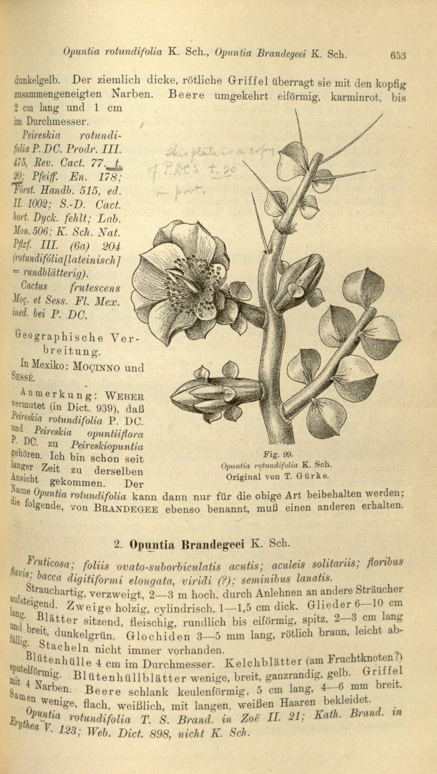 no full size  illustration available (3a)