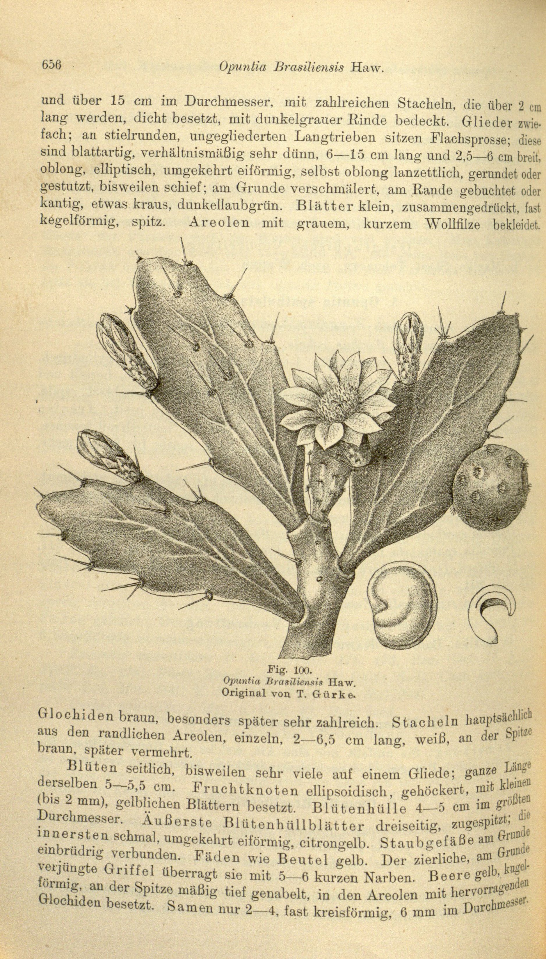 no full size  illustration available (3a)