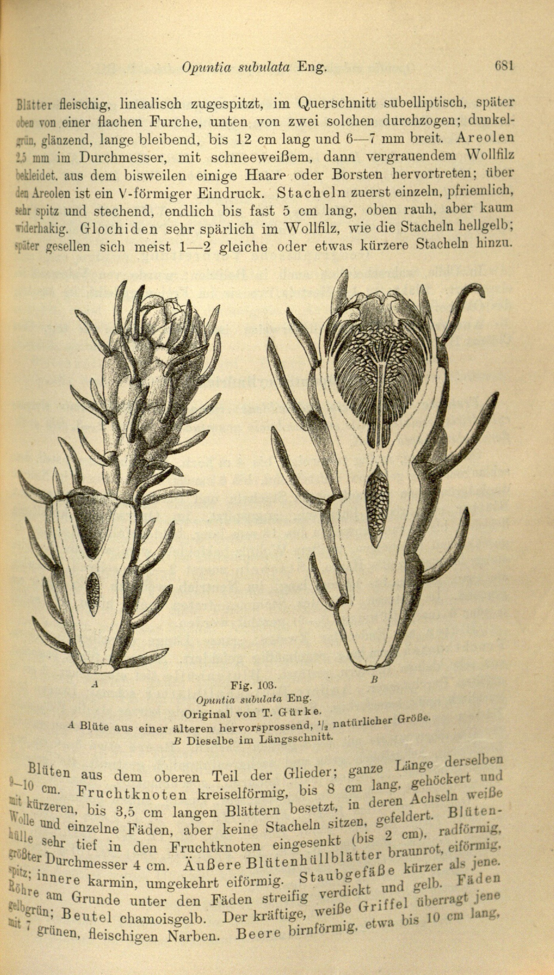 no full size  illustration available (3a)