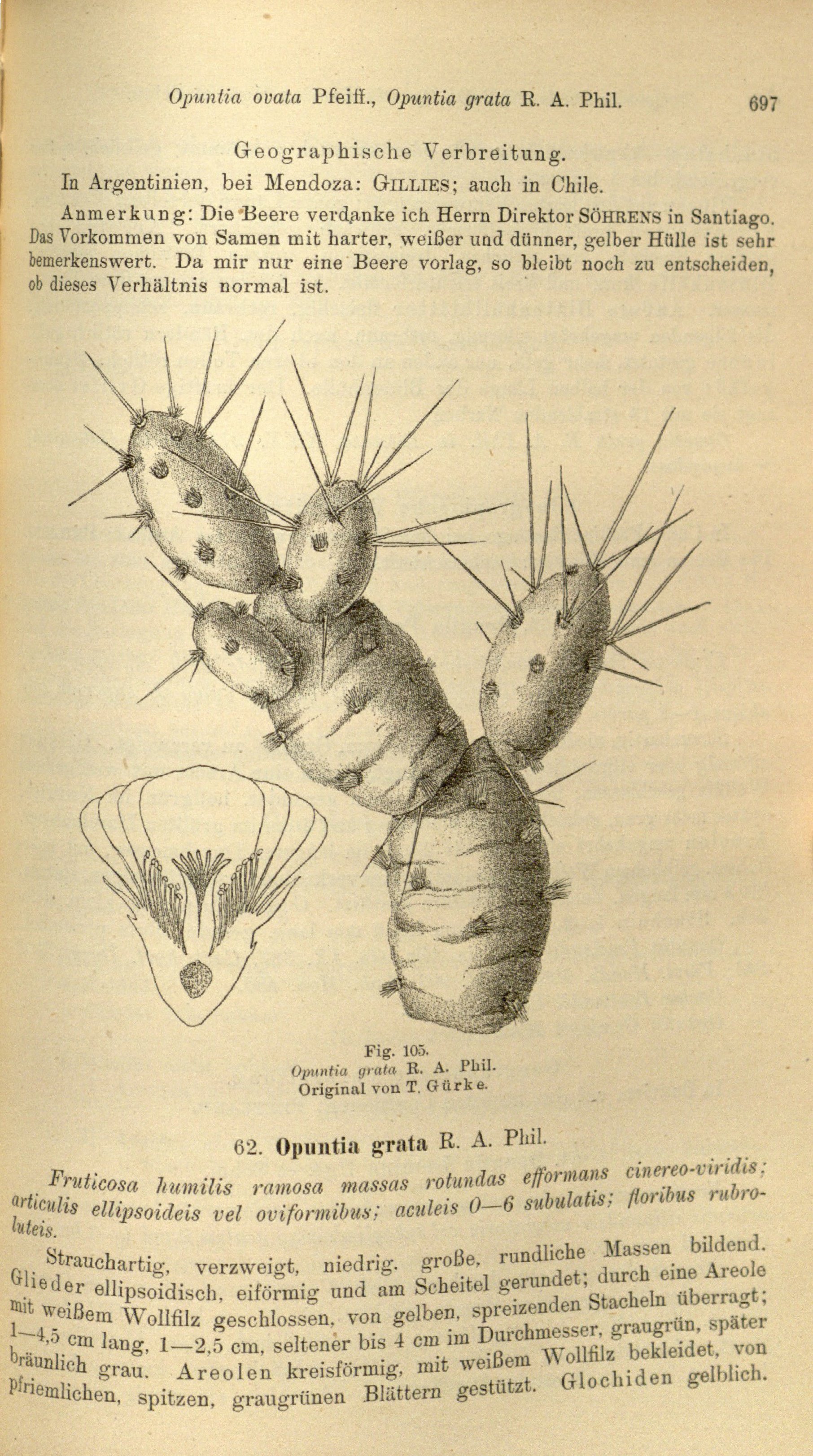 no full size  illustration available (3a)