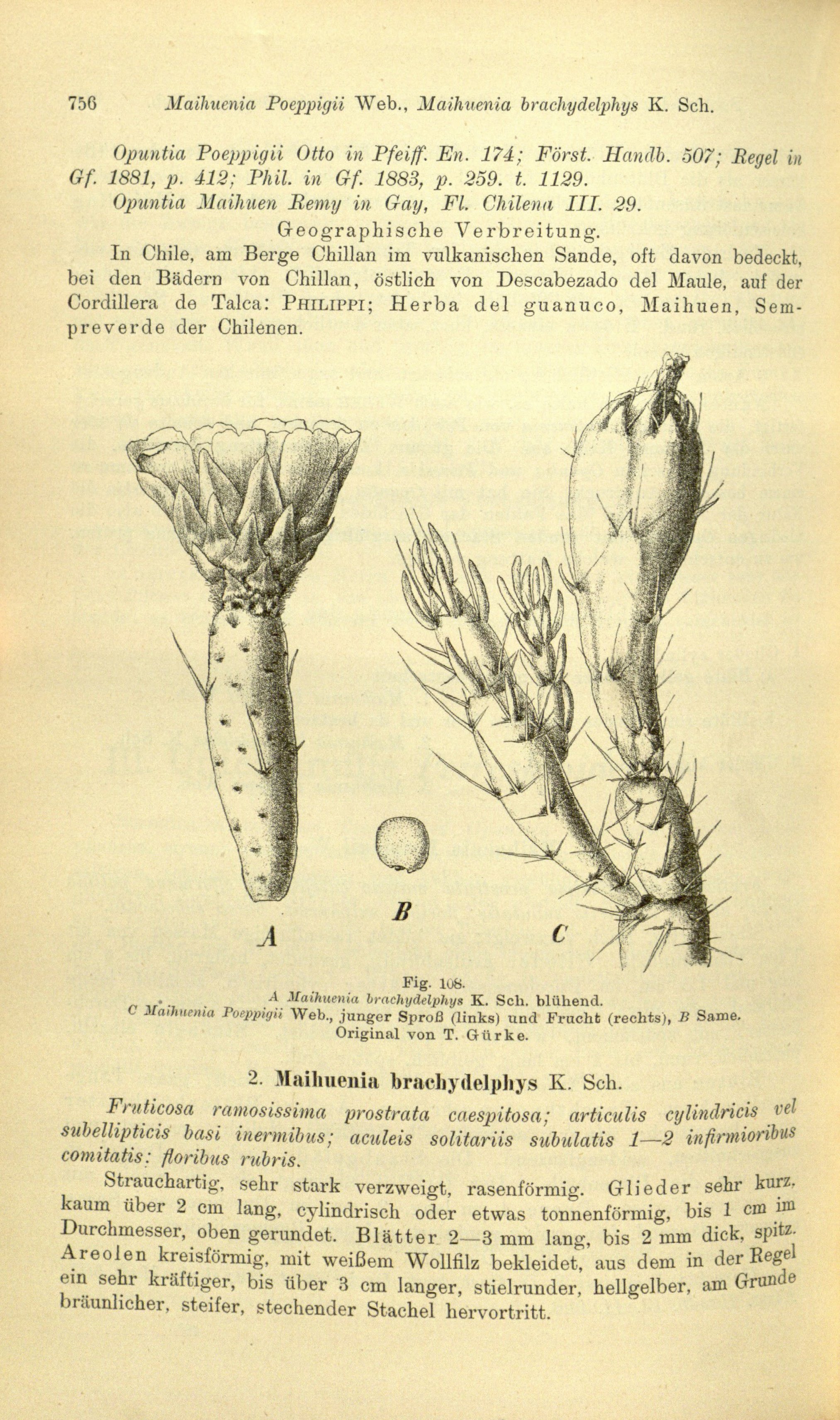 no full size  illustration available (3a)