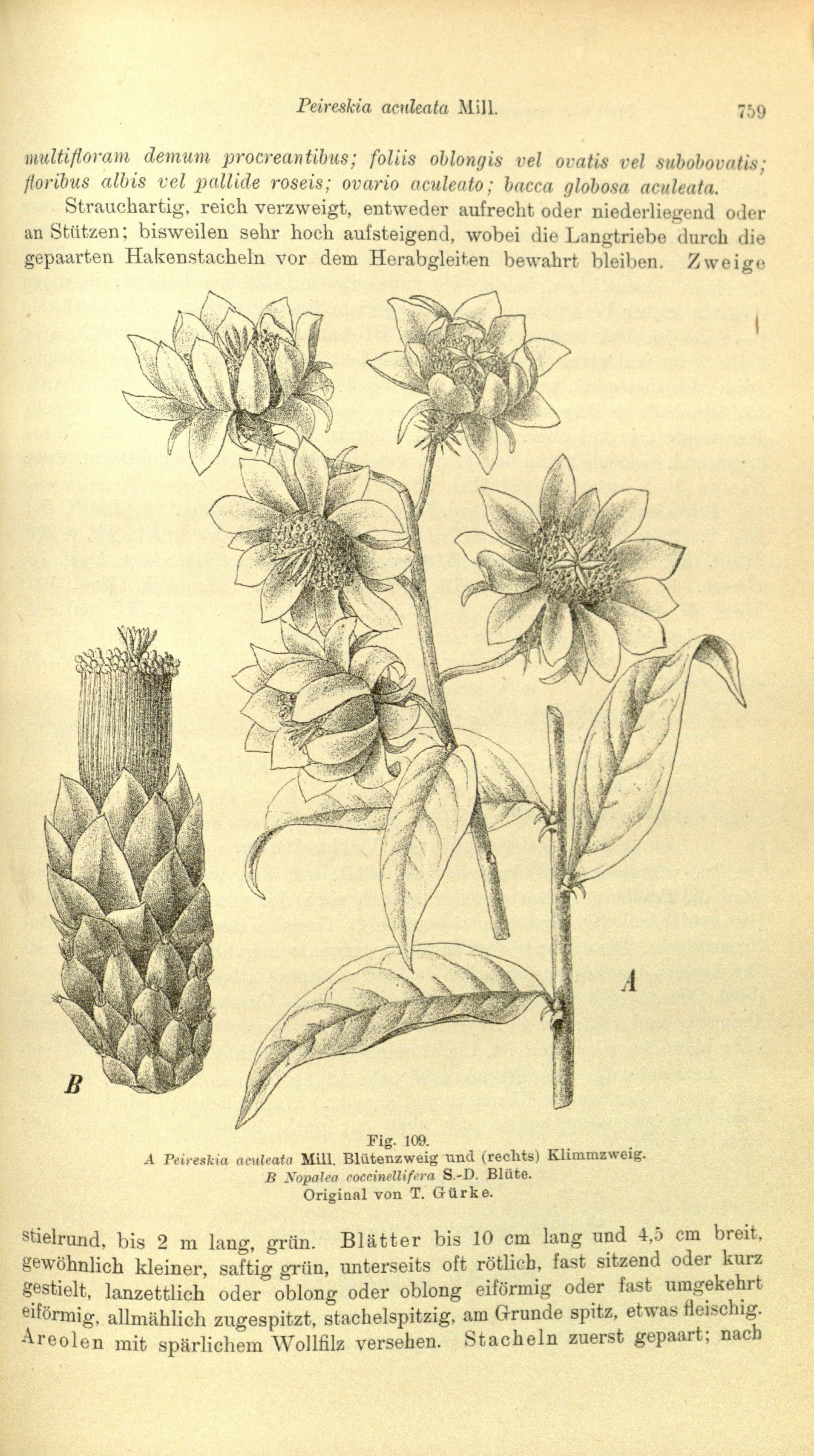 no full size  illustration available (3a)