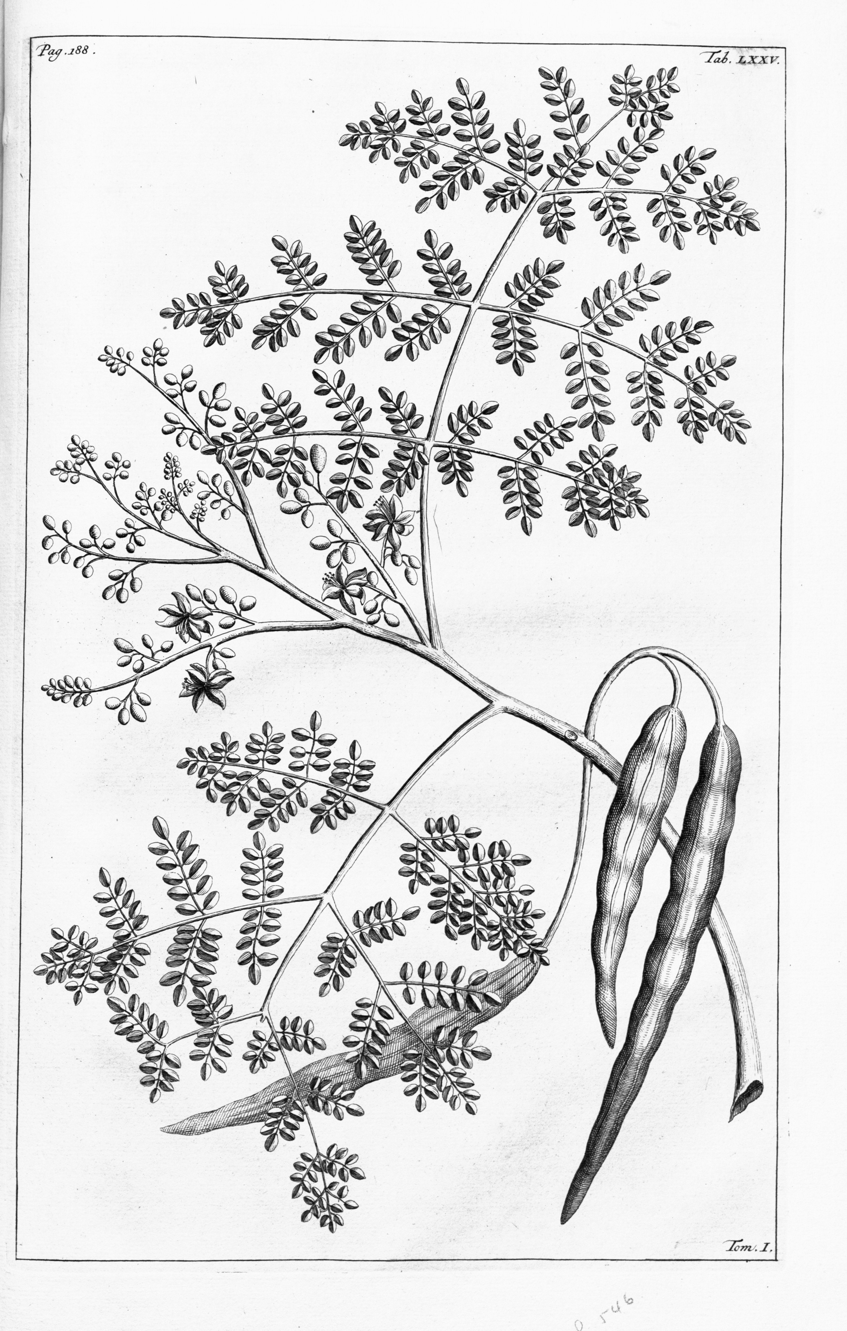 no full size  illustration available (3a)