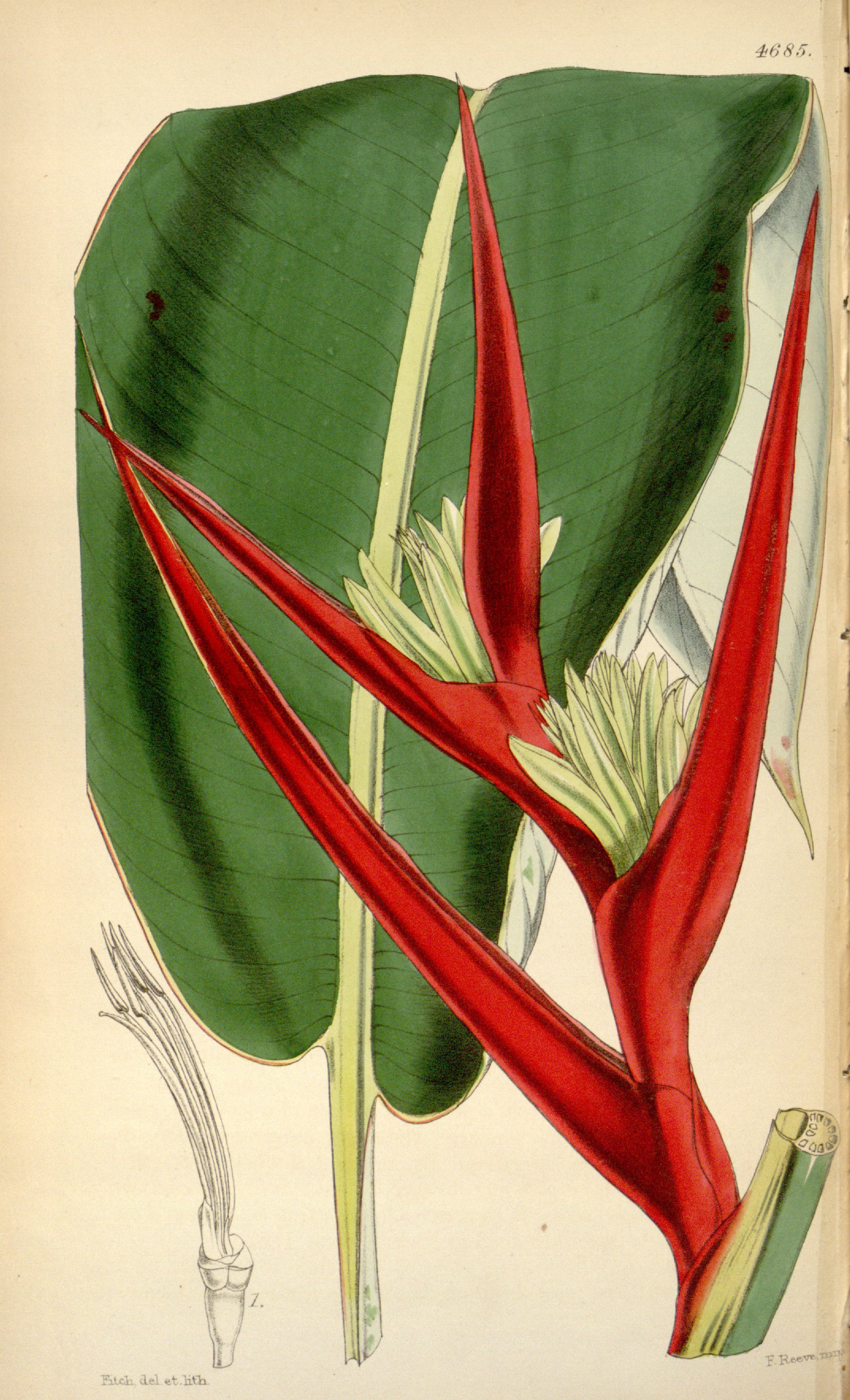 no full size  illustration available (3a)