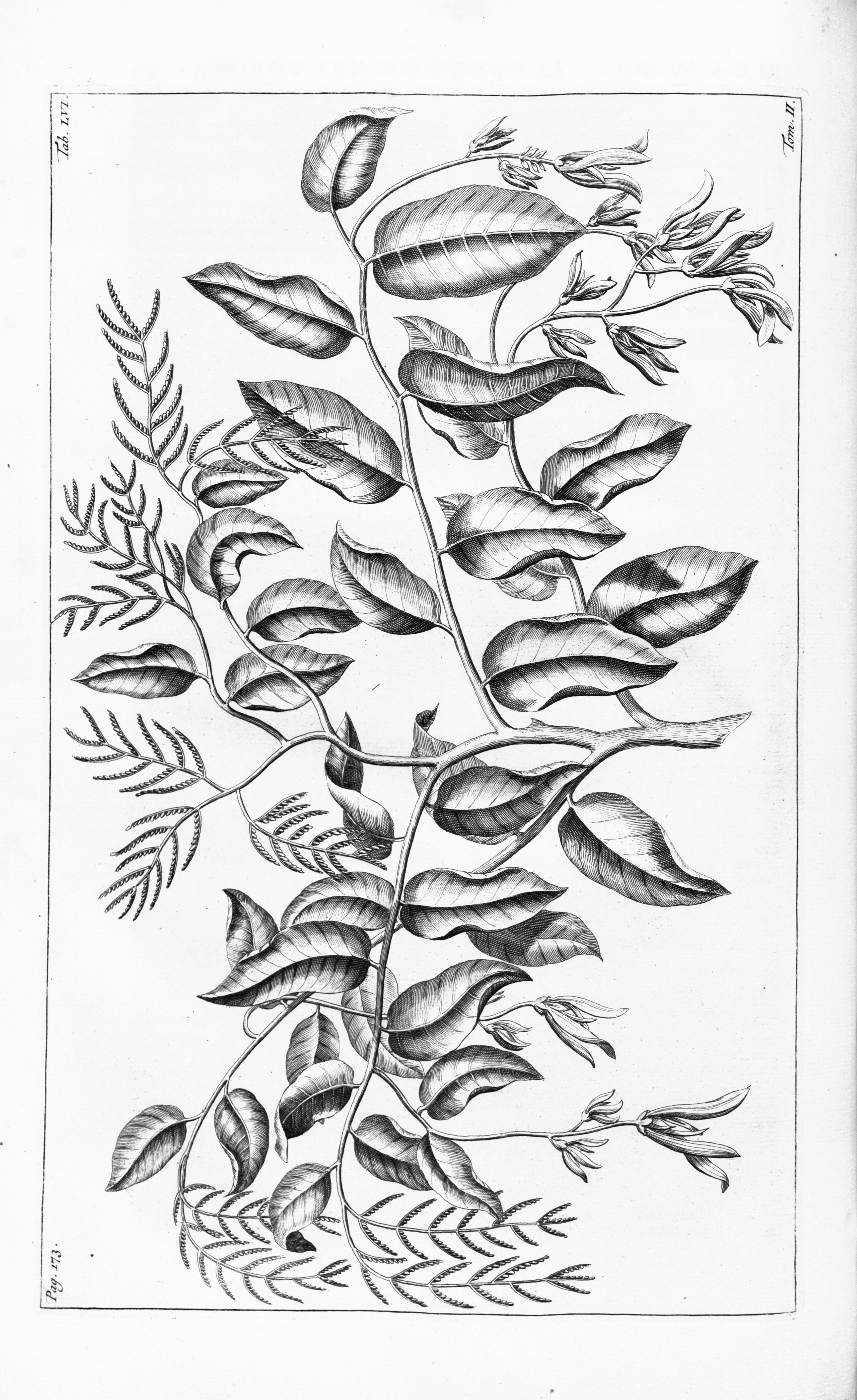 no full size  illustration available (3a)