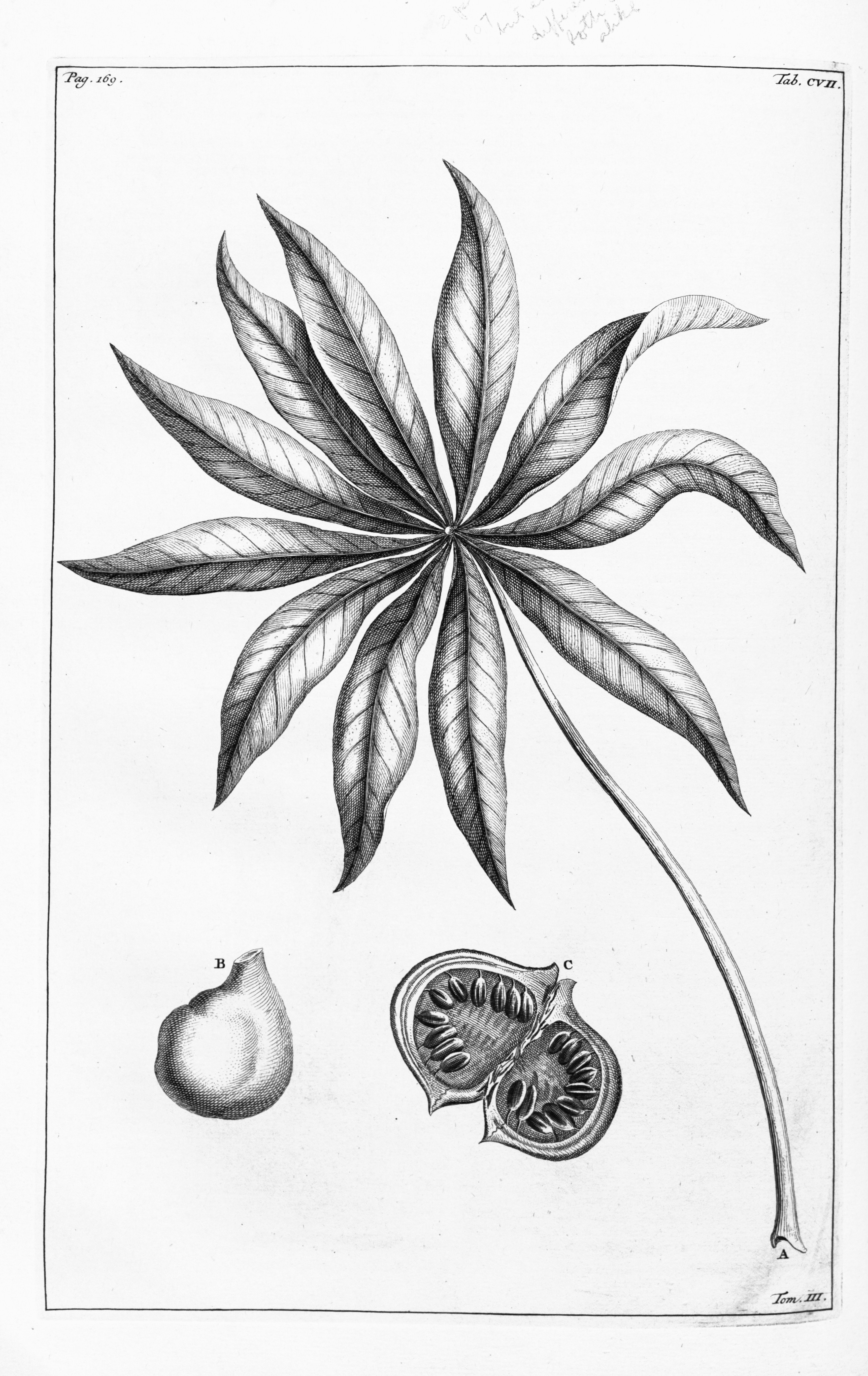 no full size  illustration available (3a)