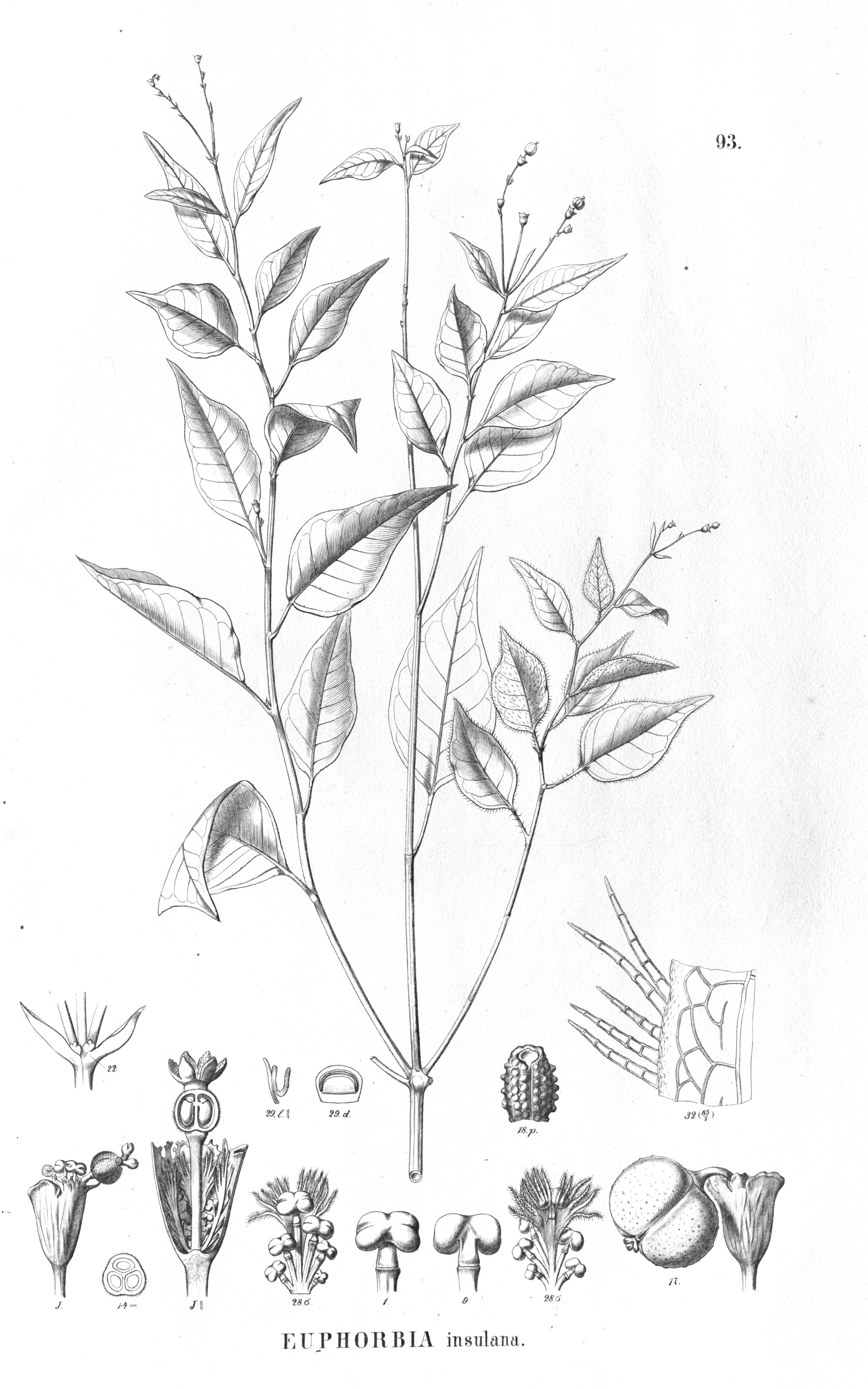 no full size  illustration available (3a)