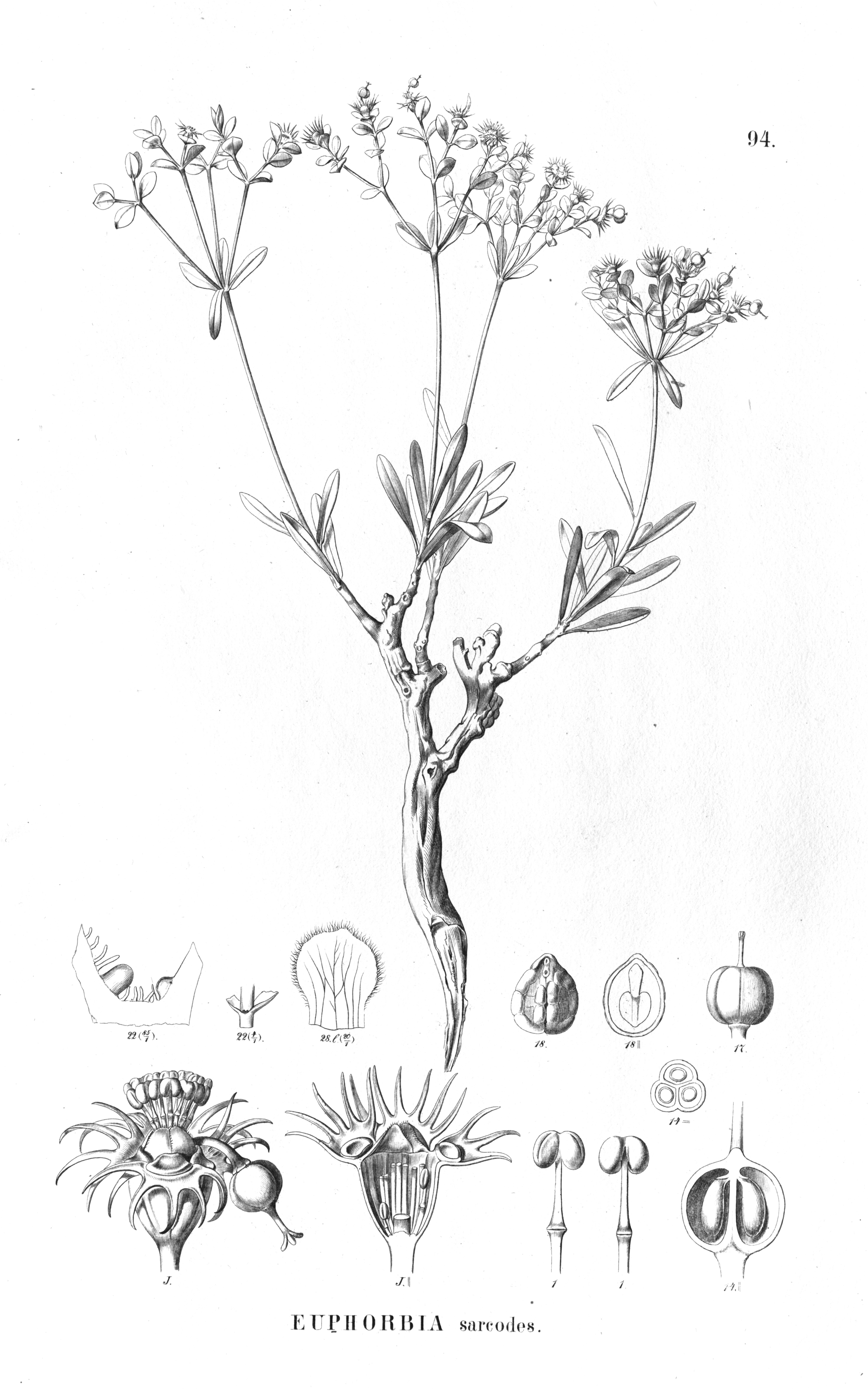 no full size  illustration available (3a)