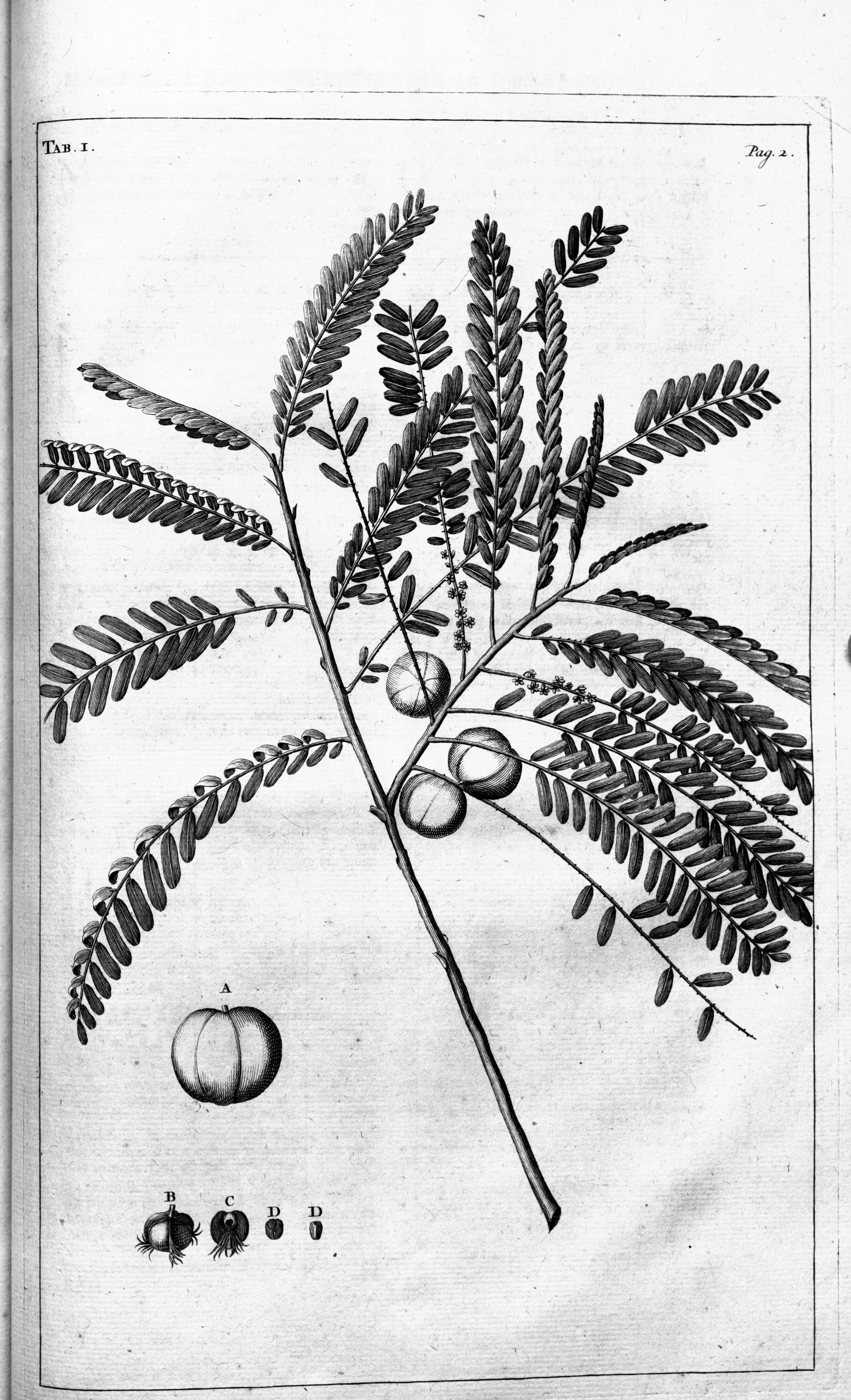 no full size  illustration available (3a)