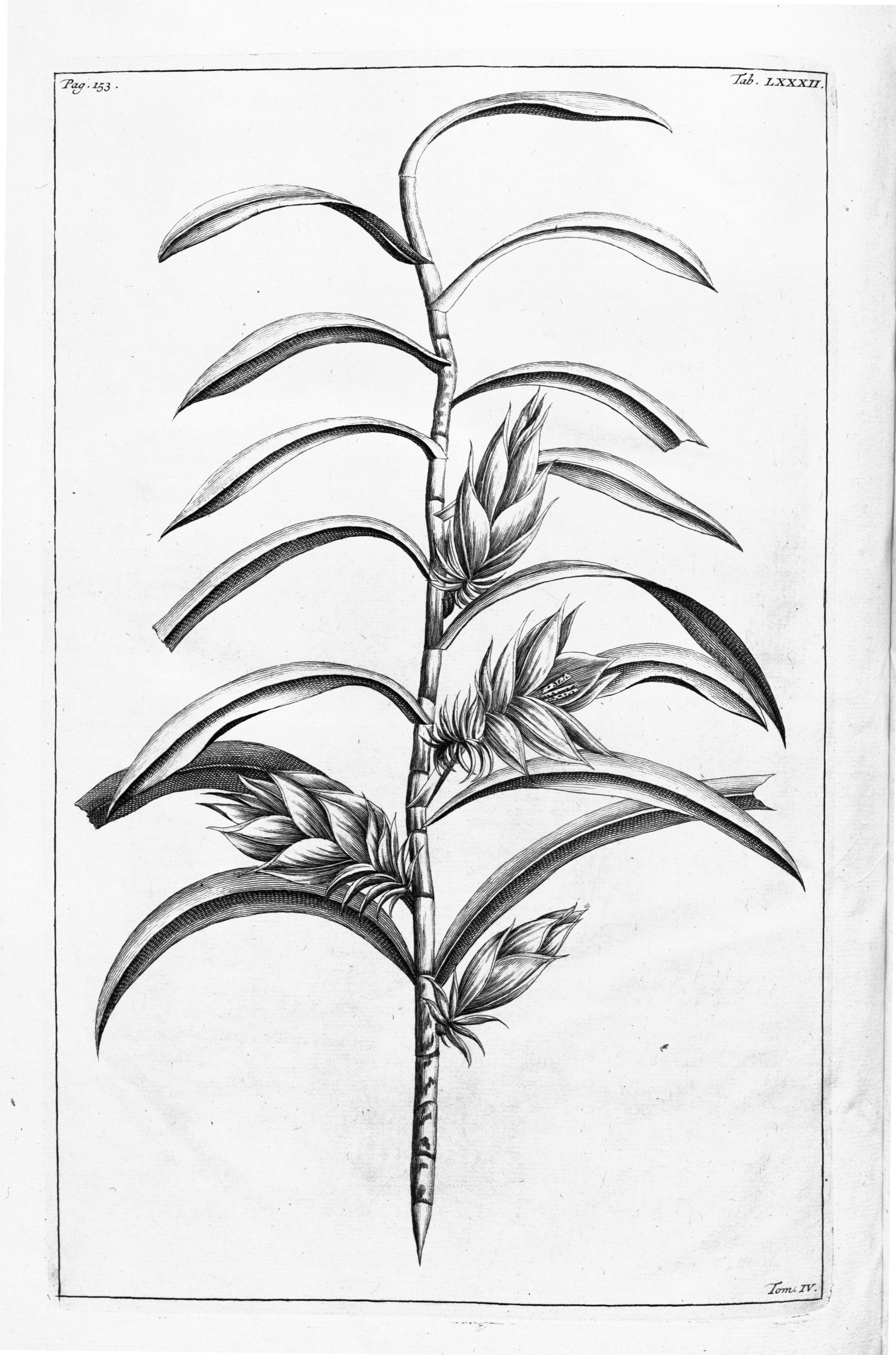 no full size  illustration available (3a)