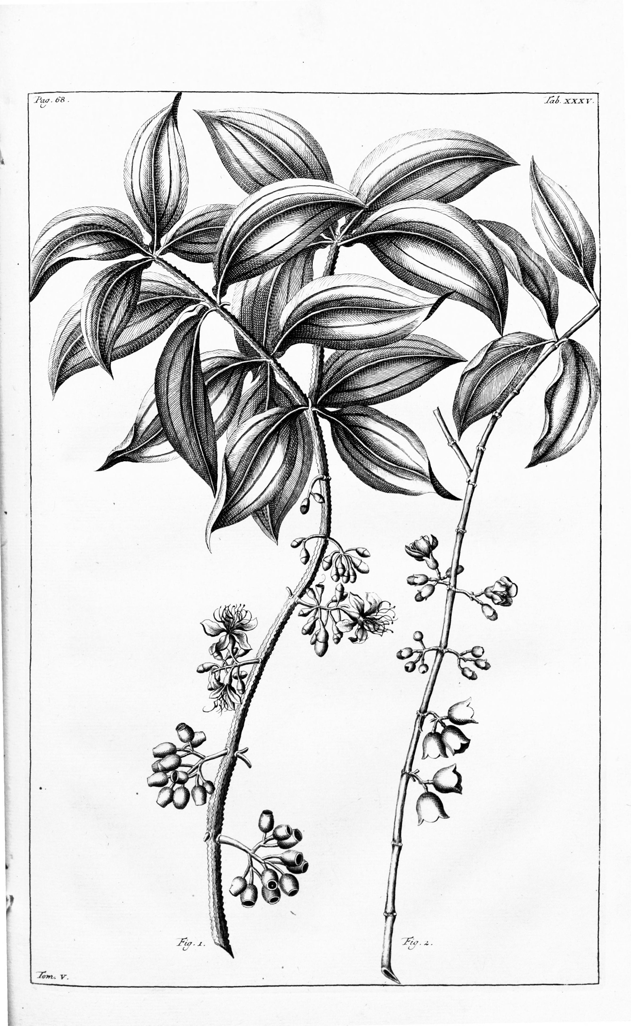 no full size  illustration available (3a)