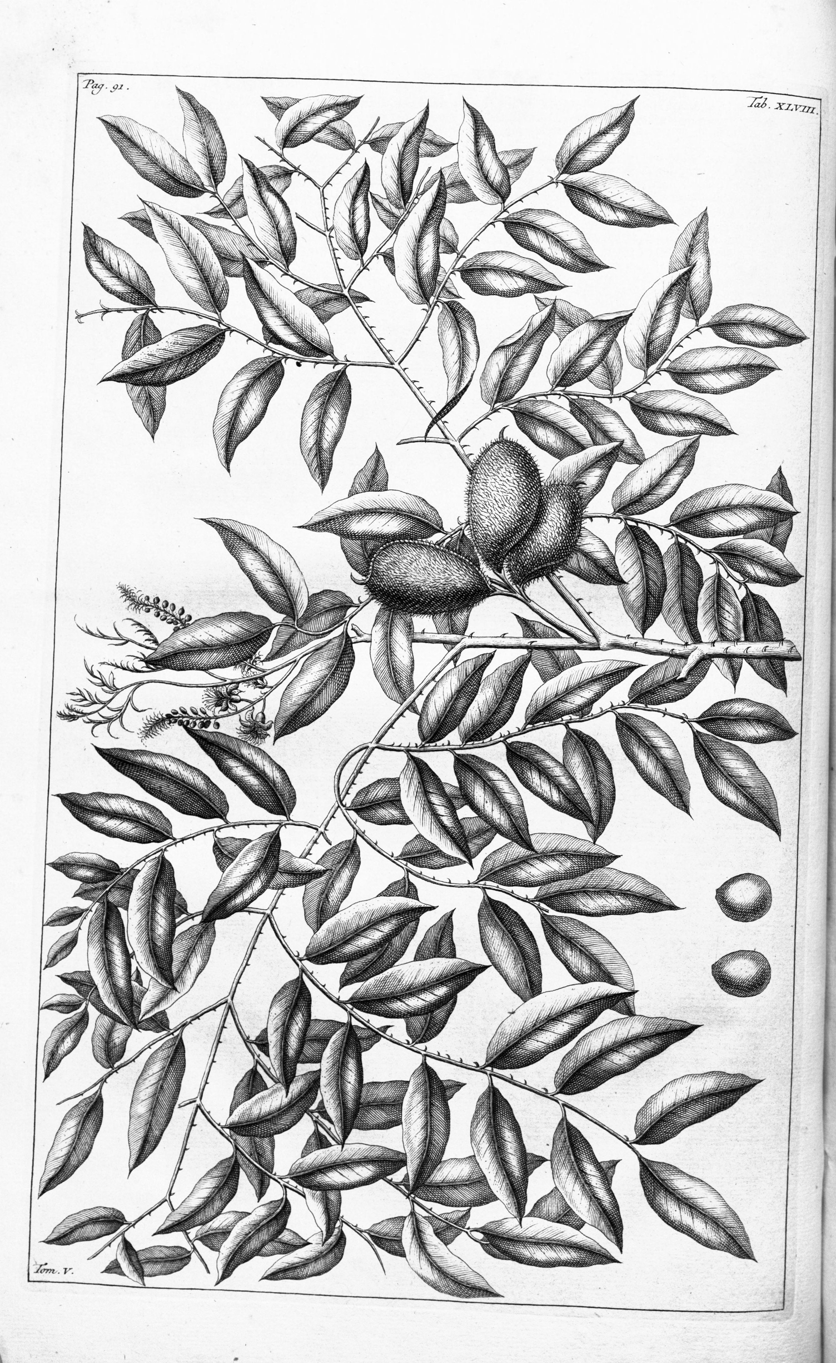 no full size  illustration available (3a)