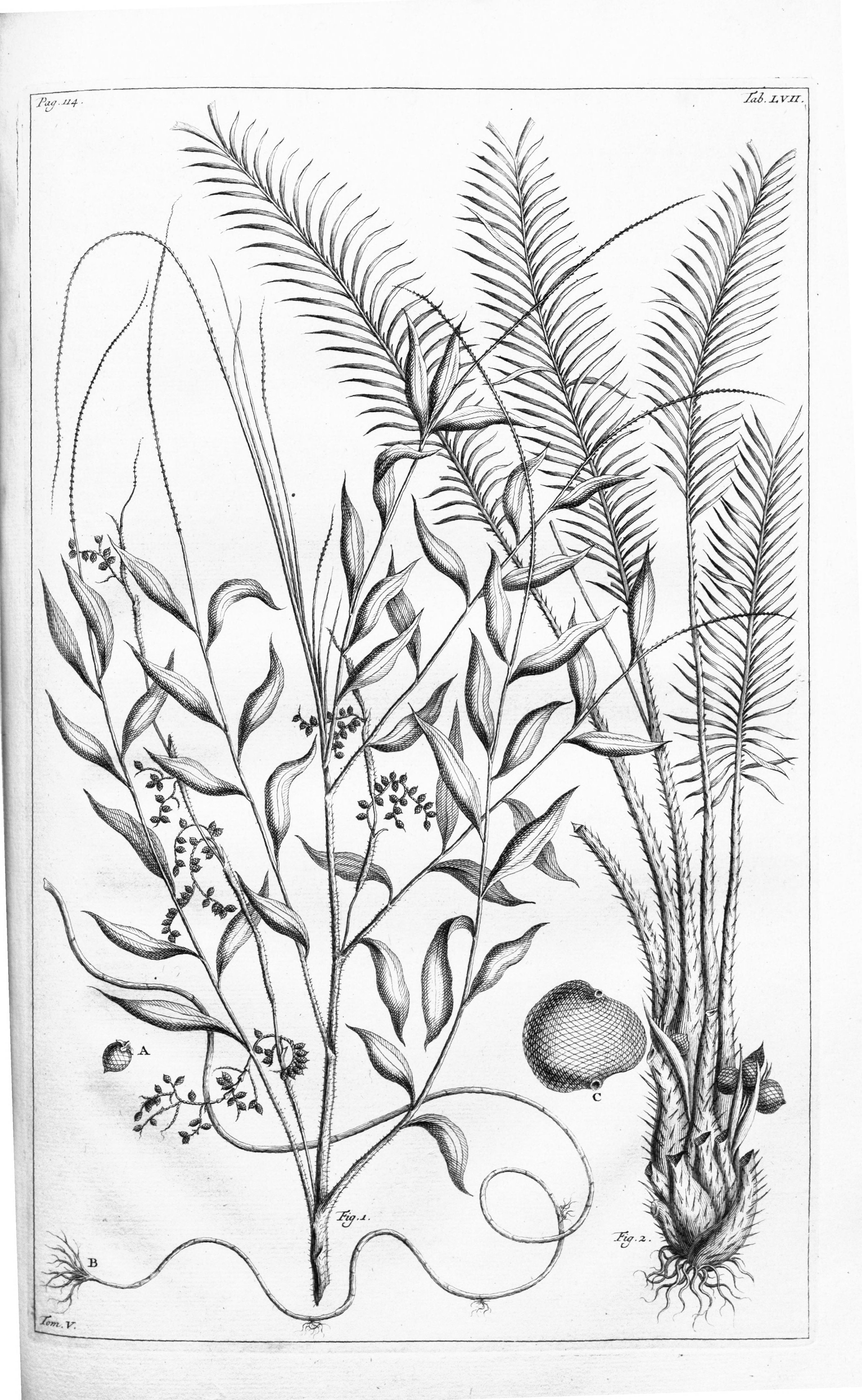 no full size  illustration available (3a)