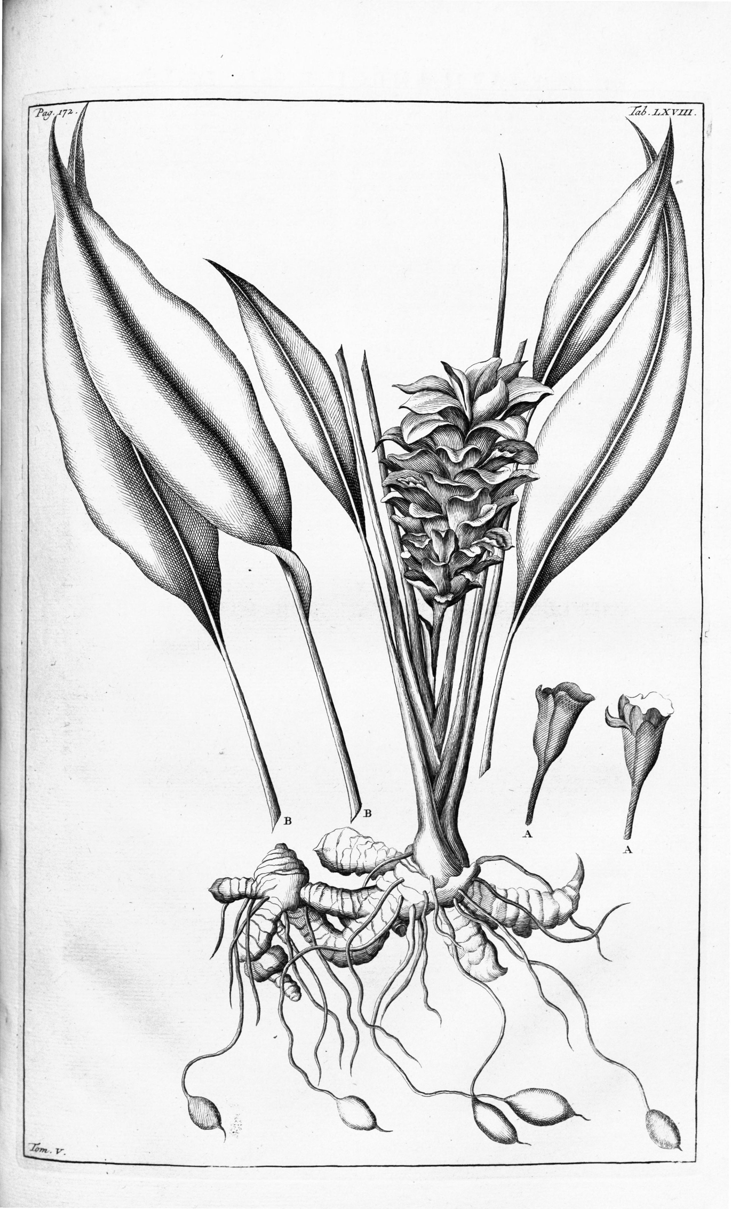 no full size  illustration available (3a)