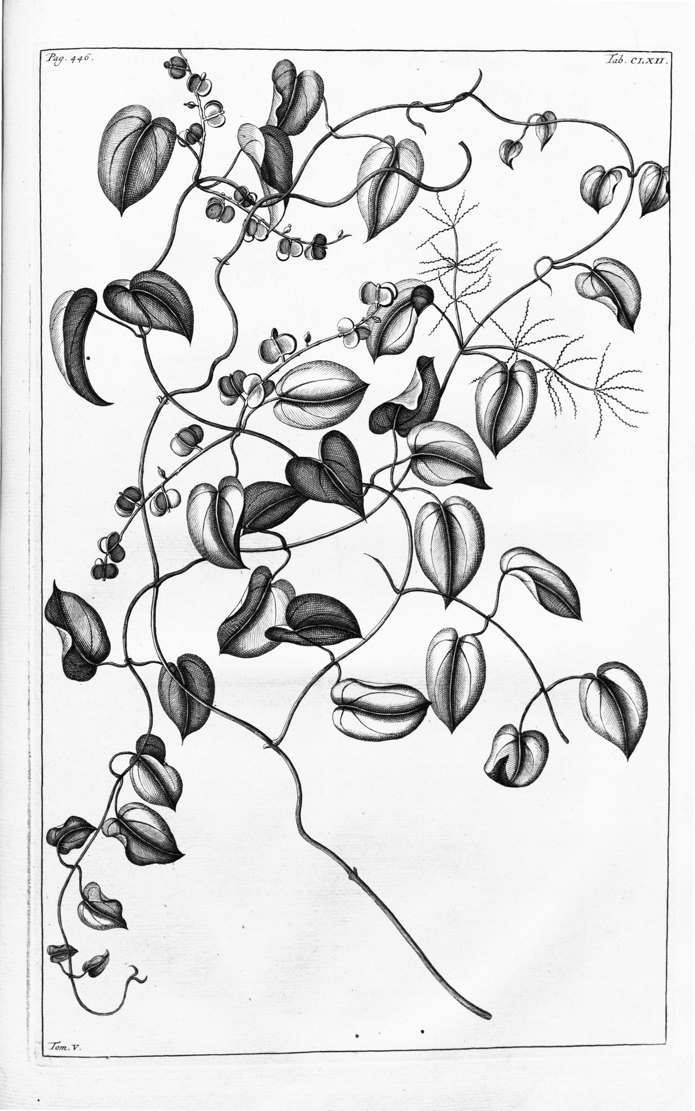 no full size  illustration available (3a)