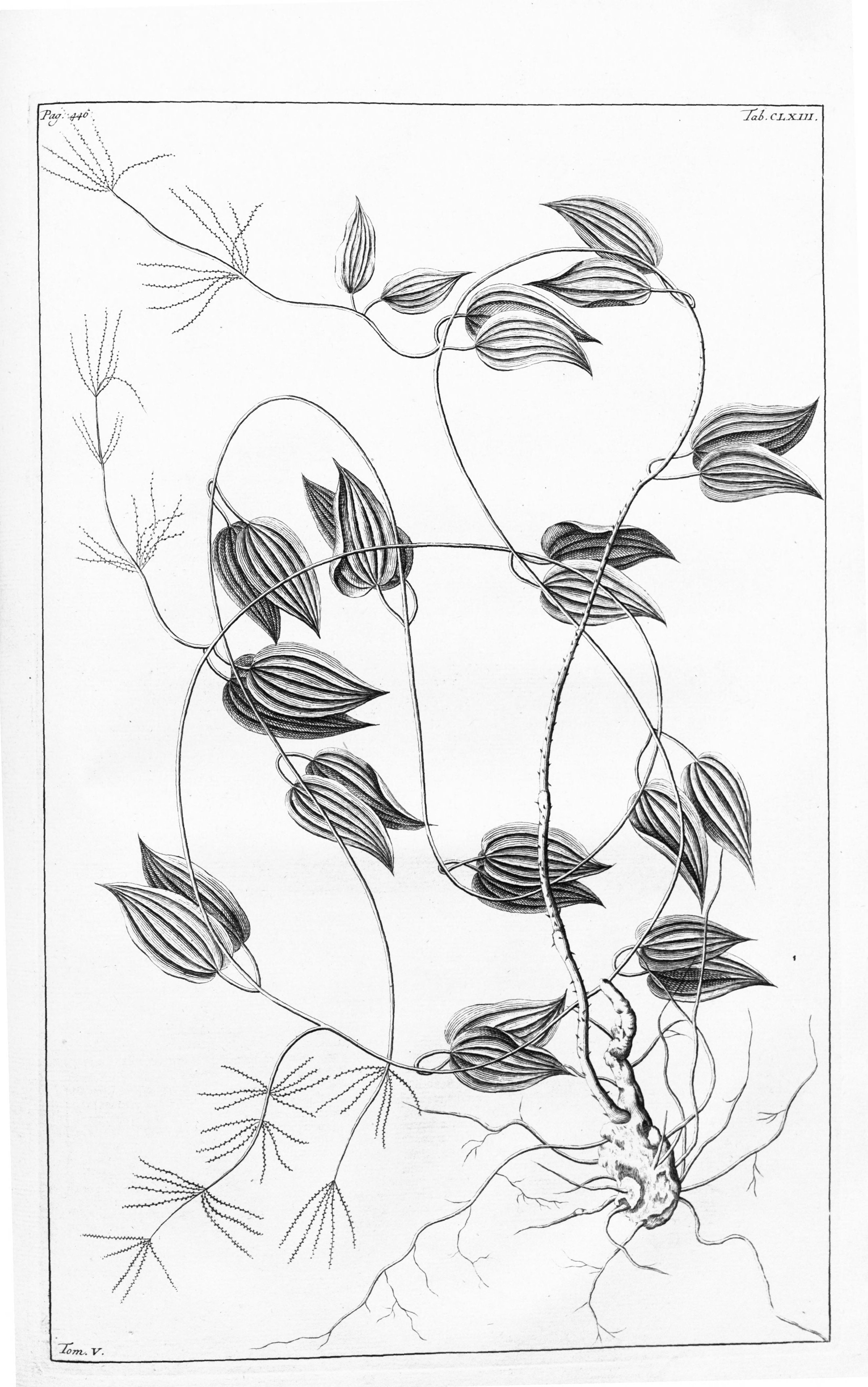 no full size  illustration available (3a)