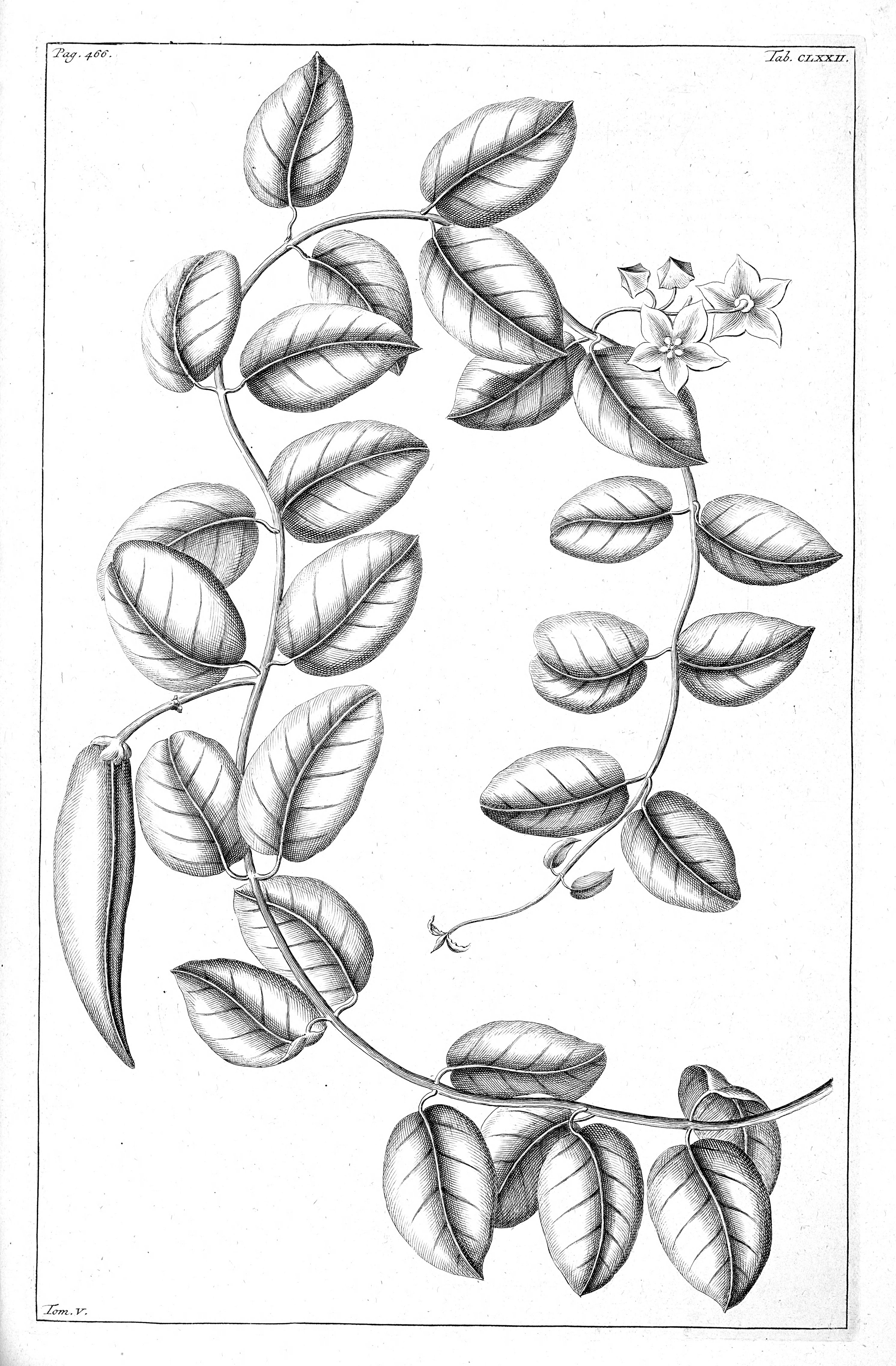 no full size  illustration available (3a)