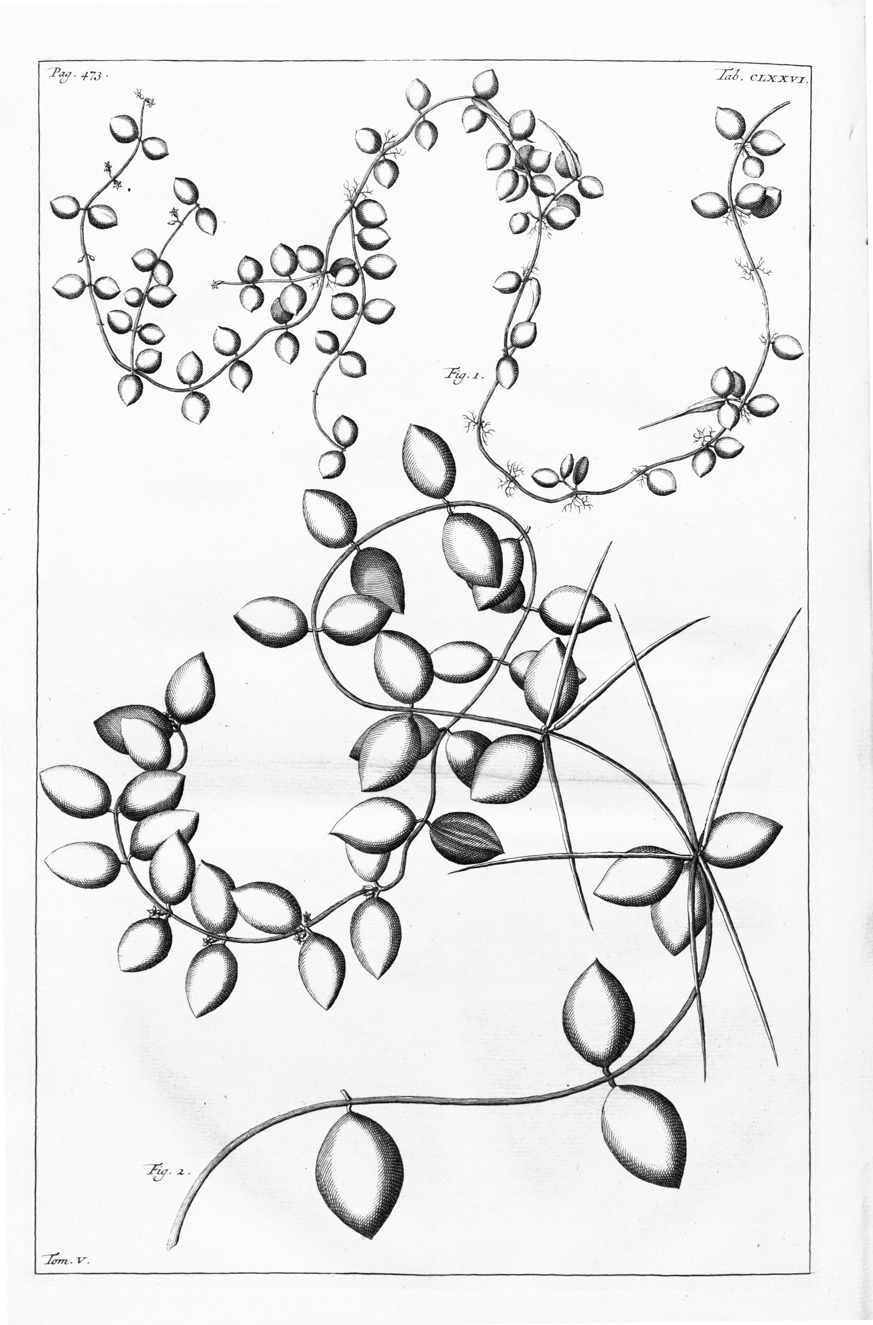 no full size  illustration available (3a)