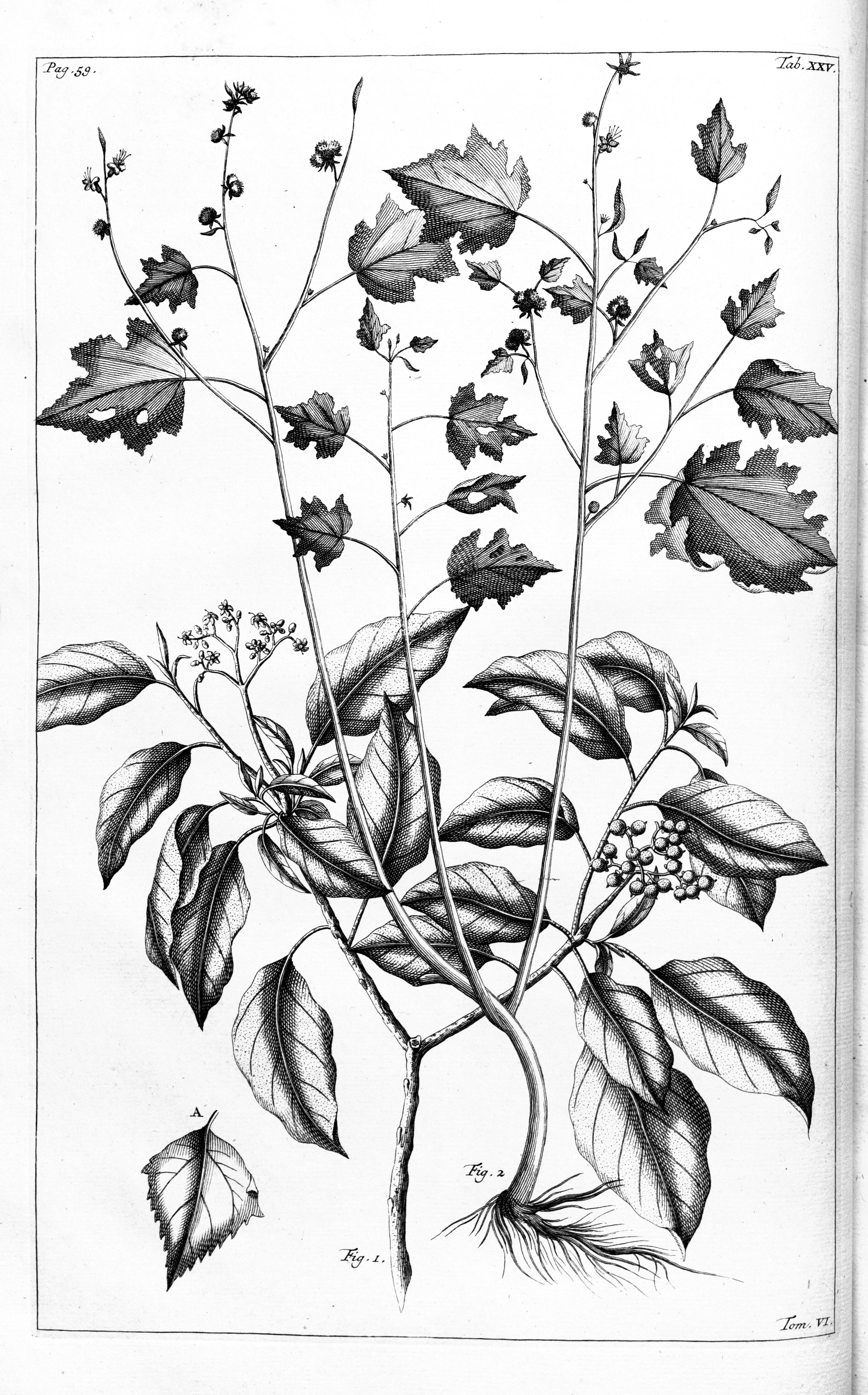 no full size  illustration available (3a)