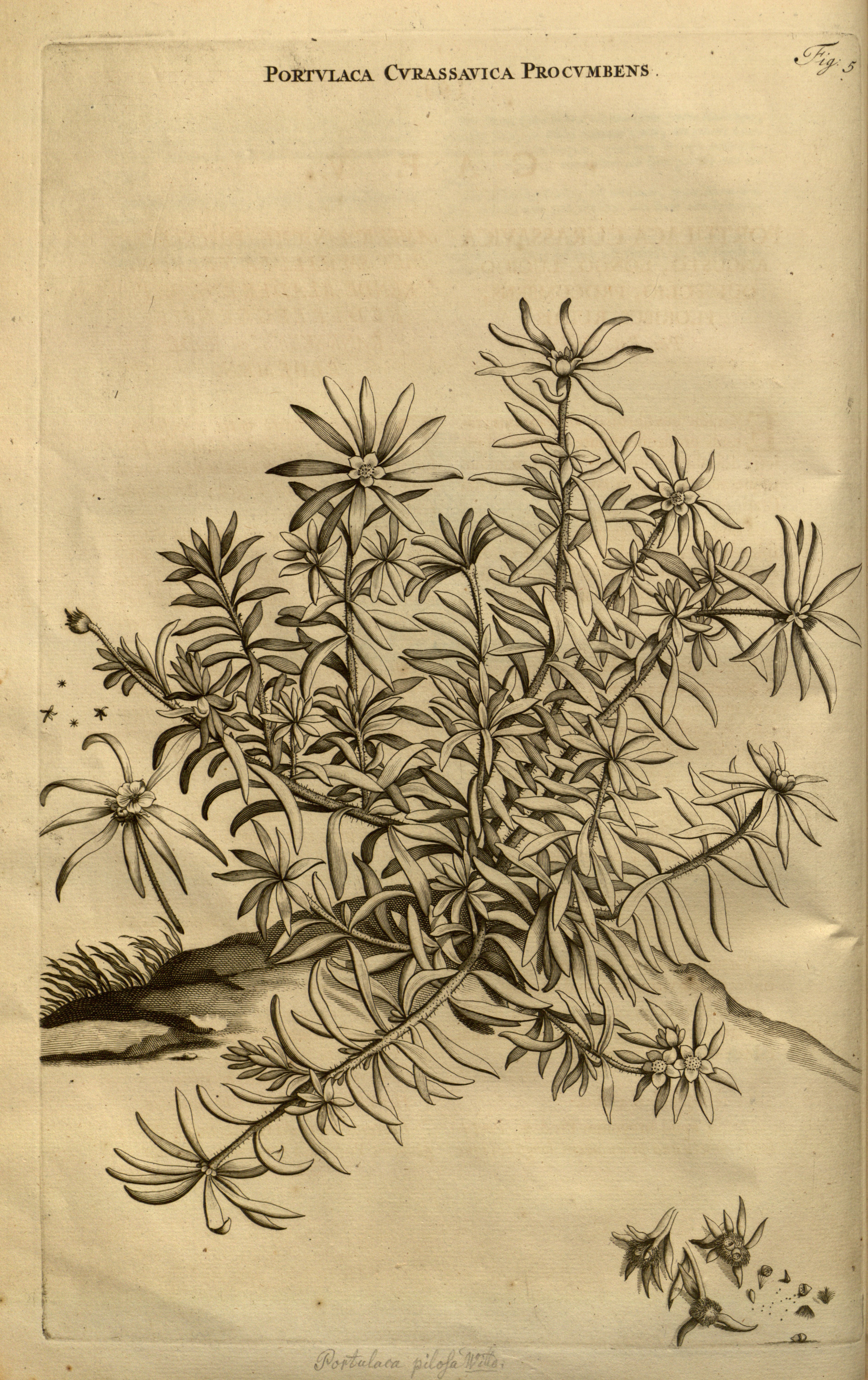 no full size  illustration available (3a)