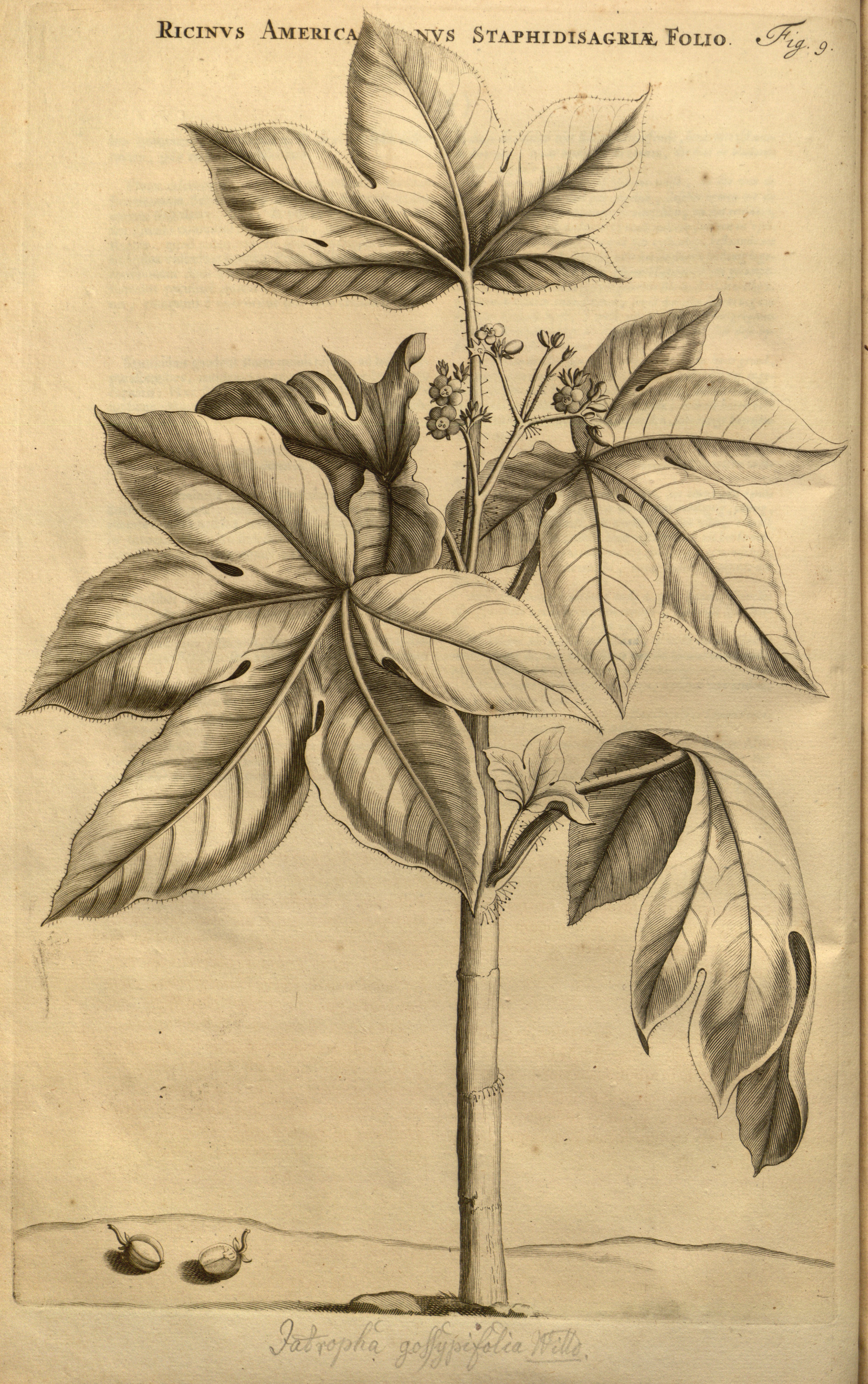 no full size  illustration available (3a)