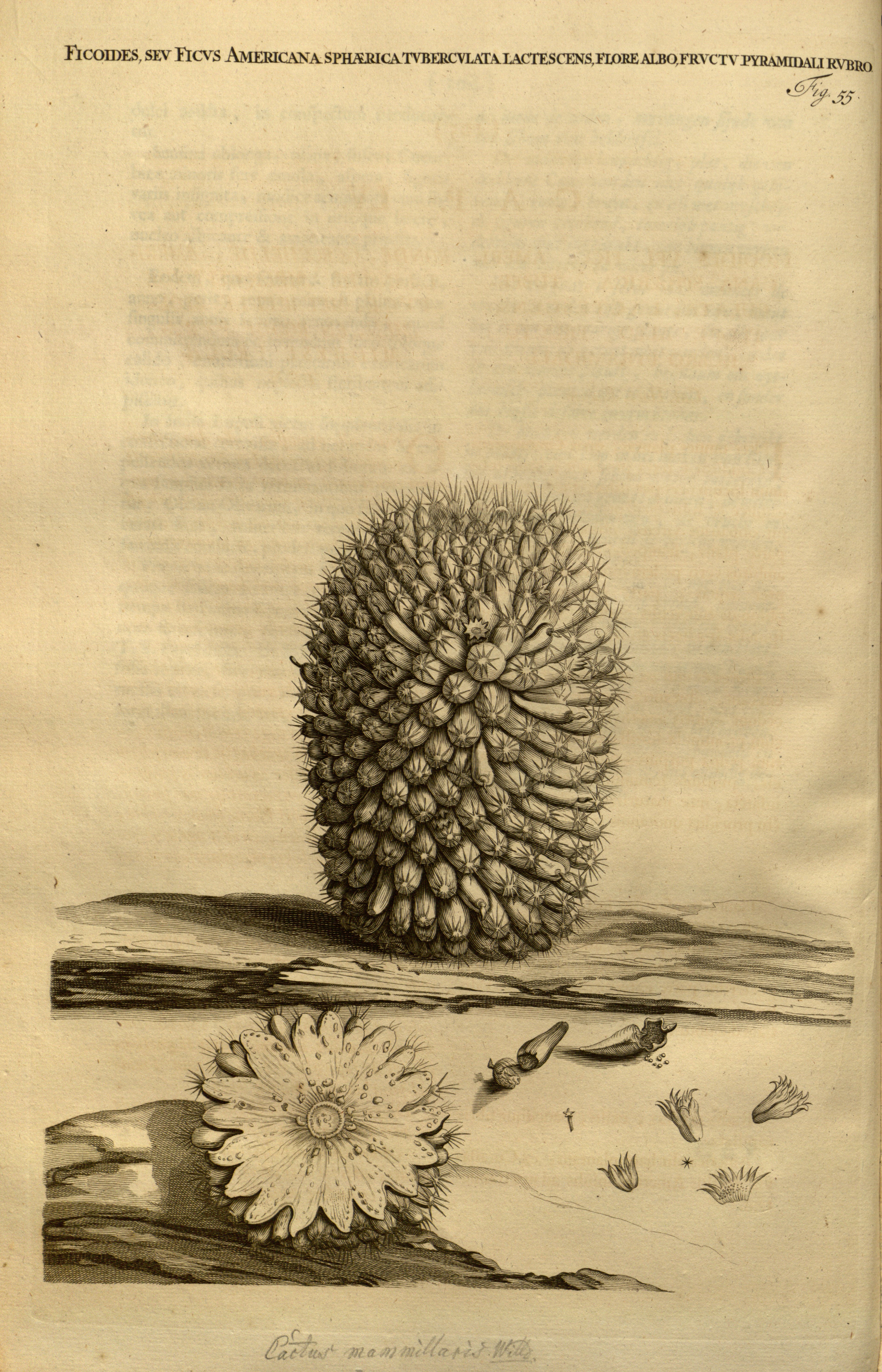 no full size  illustration available (3a)