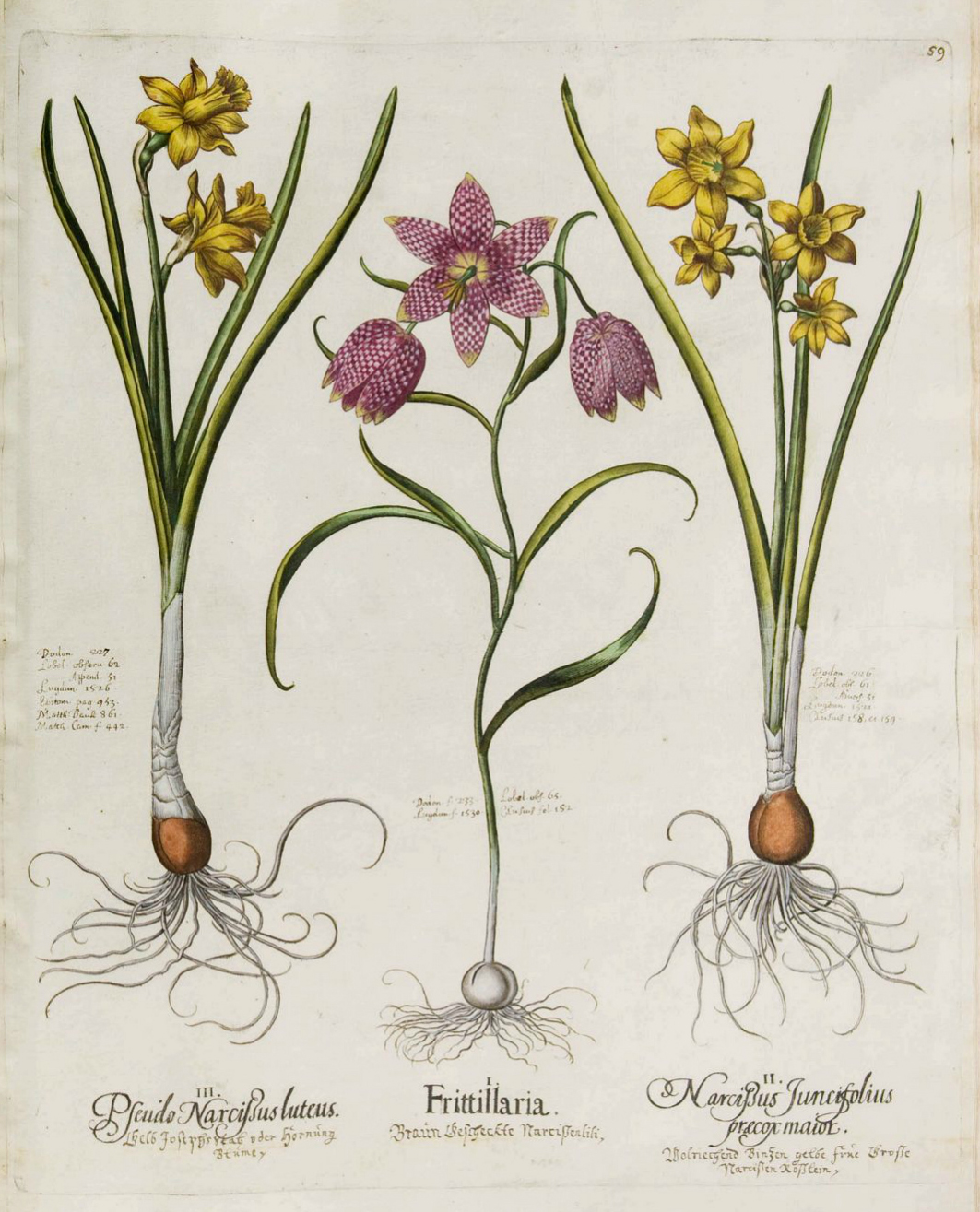 no full size  illustration available (3a)