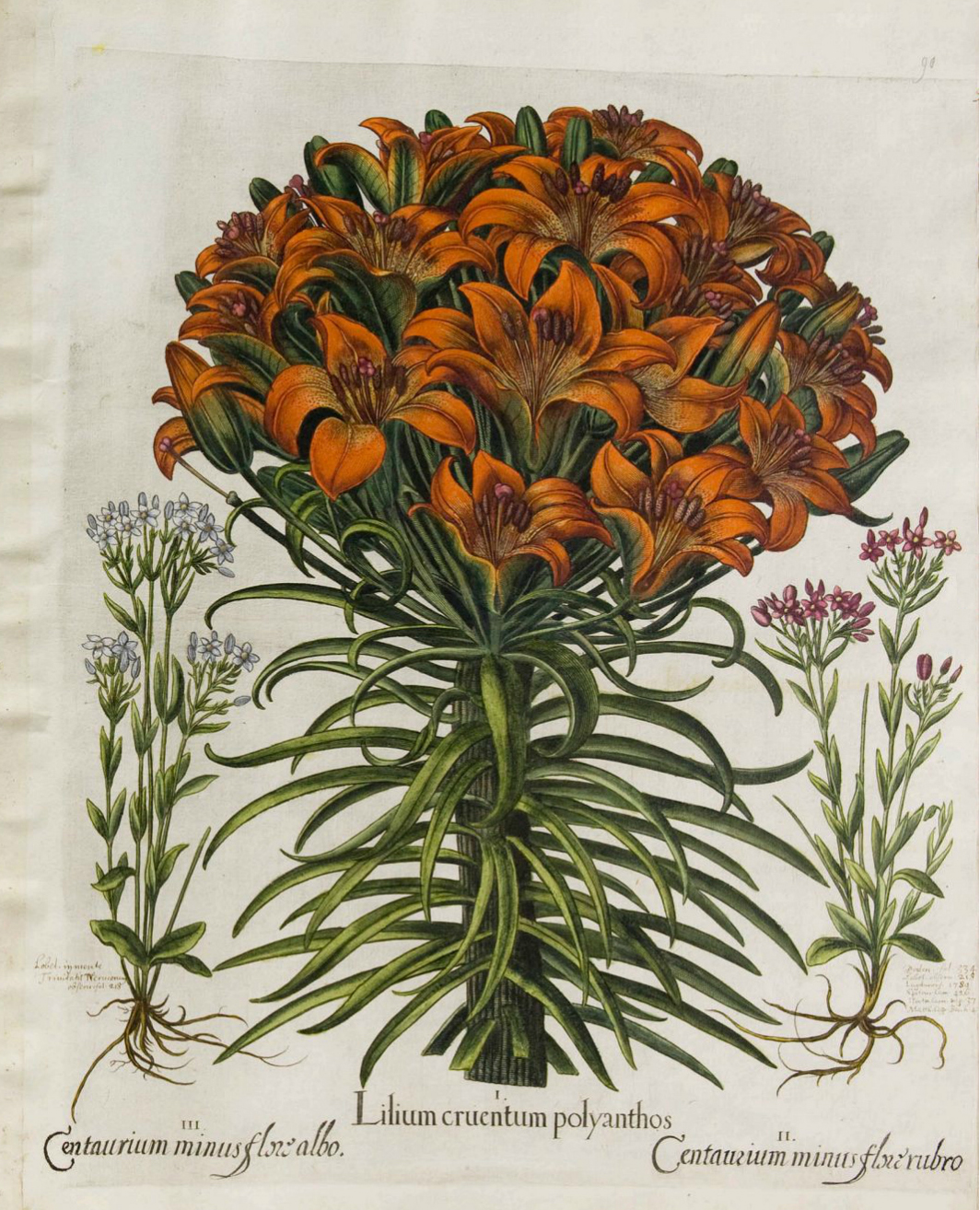 no full size  illustration available (3a)