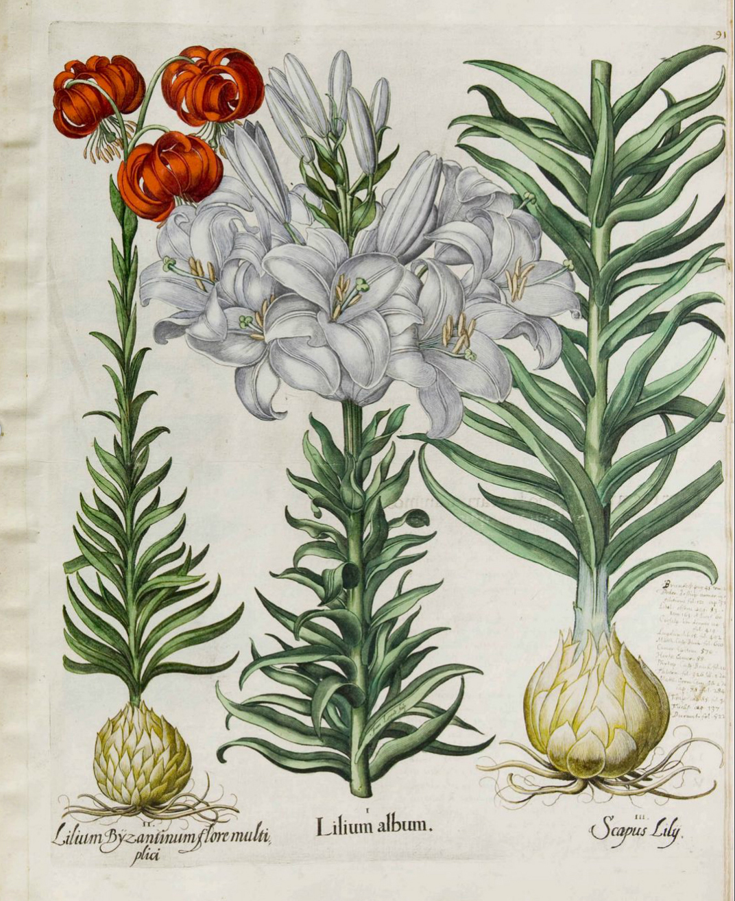 no full size  illustration available (3a)