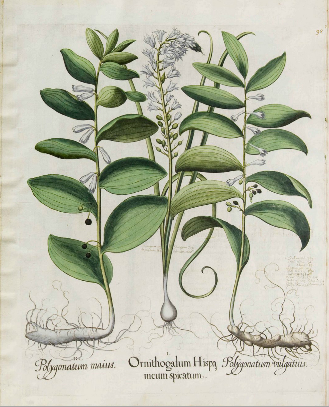 no full size  illustration available (3a)