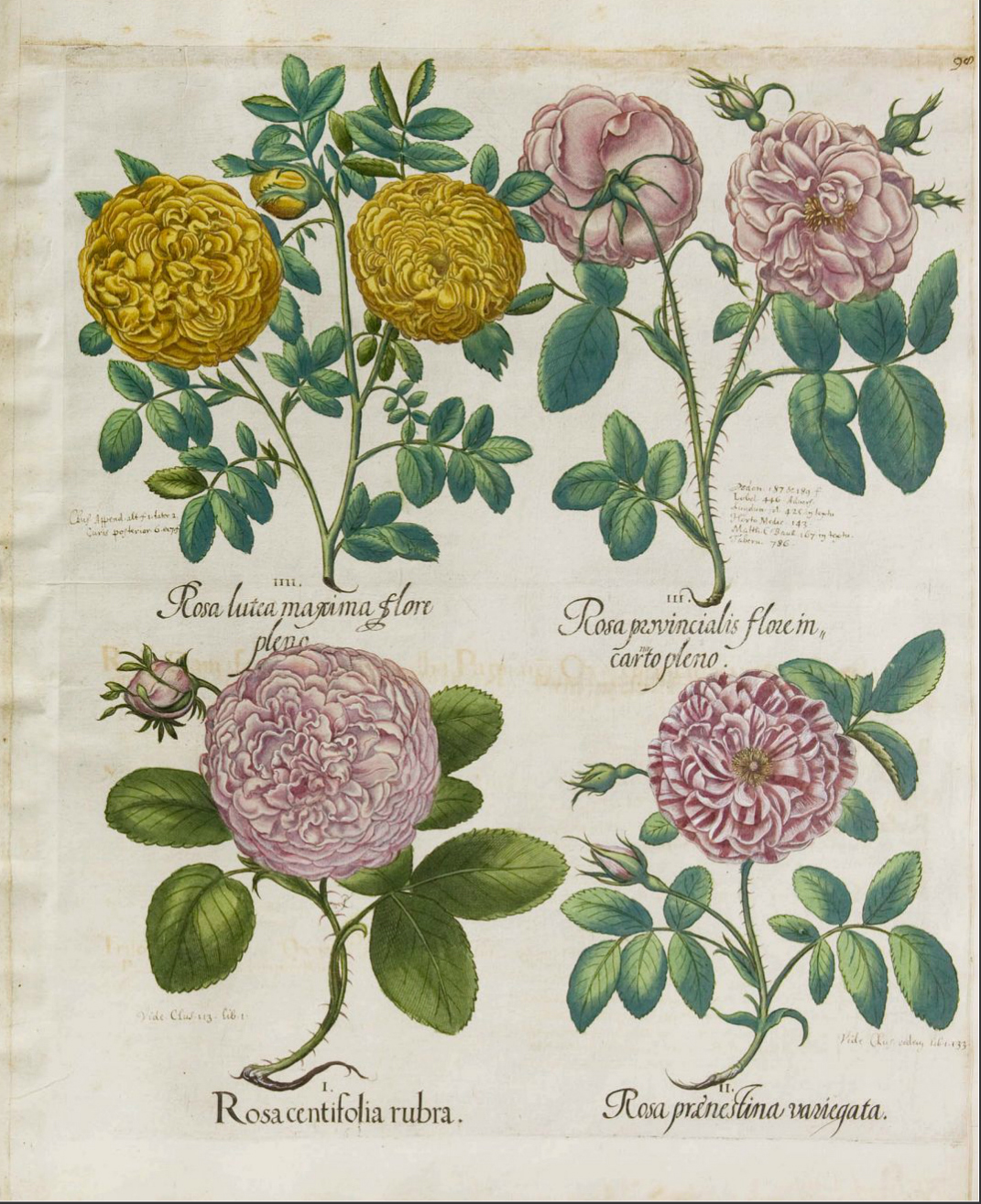 no full size  illustration available (3a)