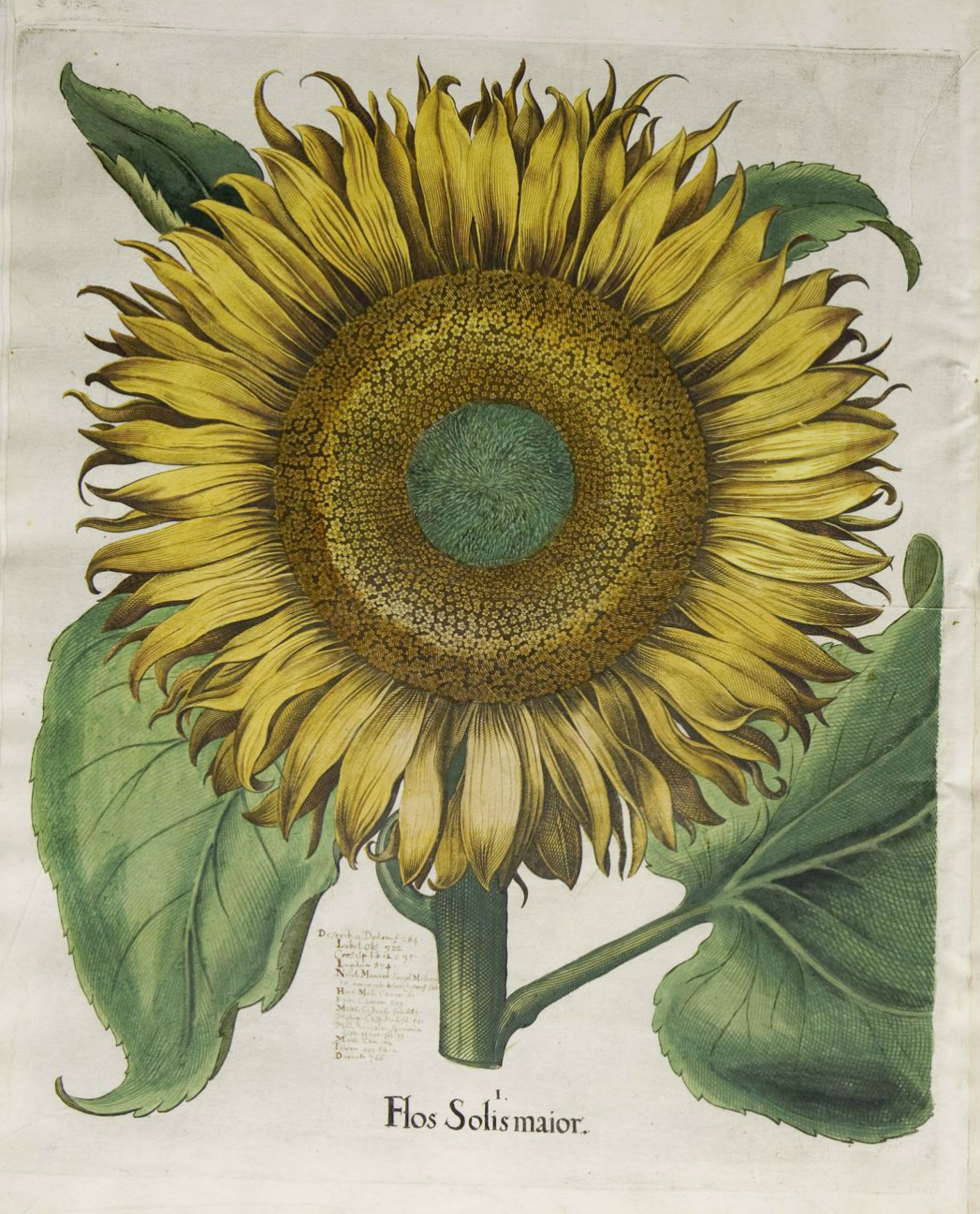 no full size  illustration available (3a)